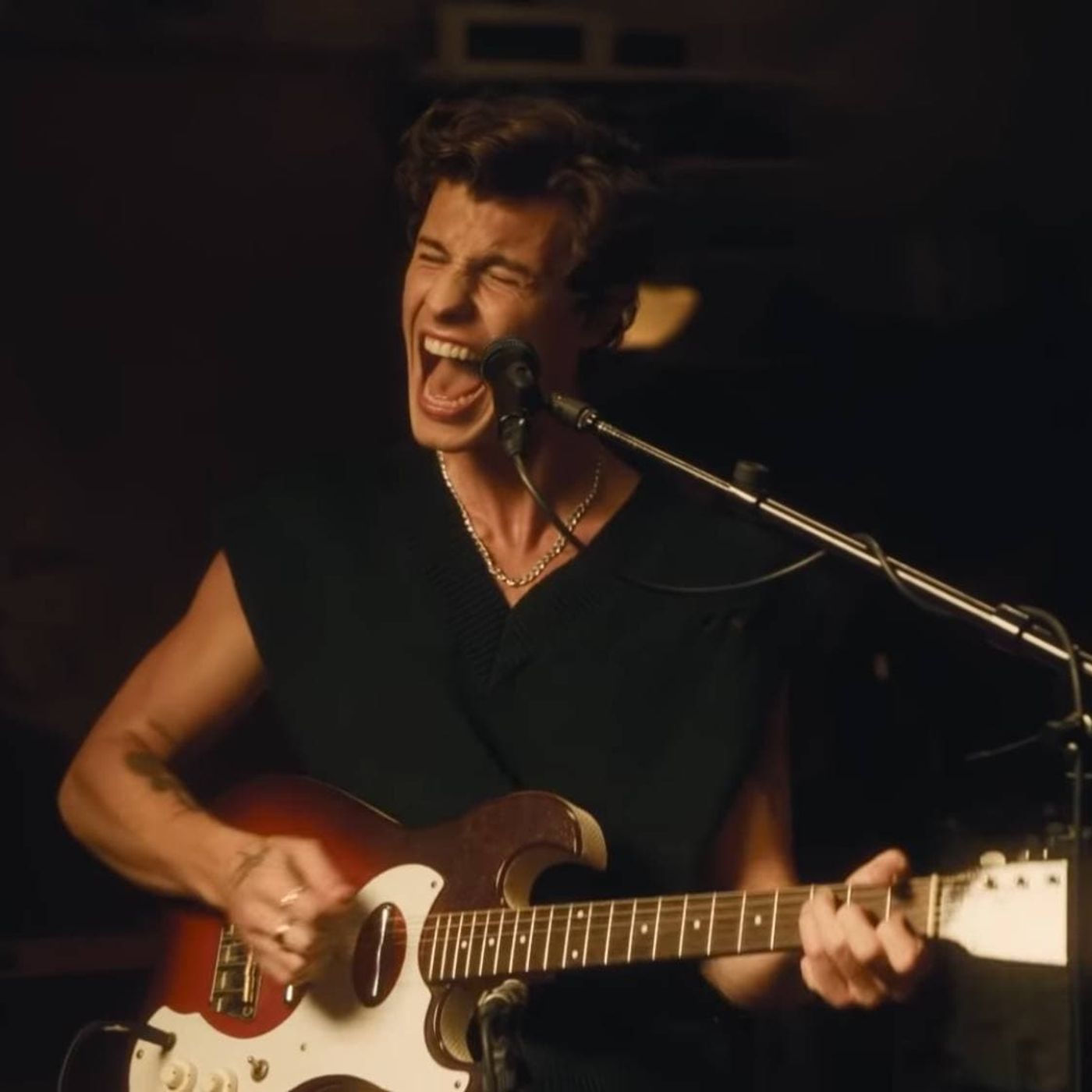 Shawn Mendes - Happier Than Ever (cover)