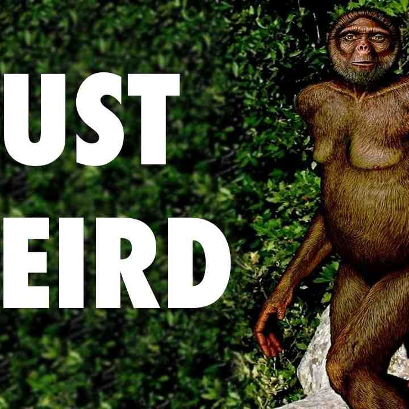 The Strangest Human Ancestor You_ve Never Heard Of episode artwork