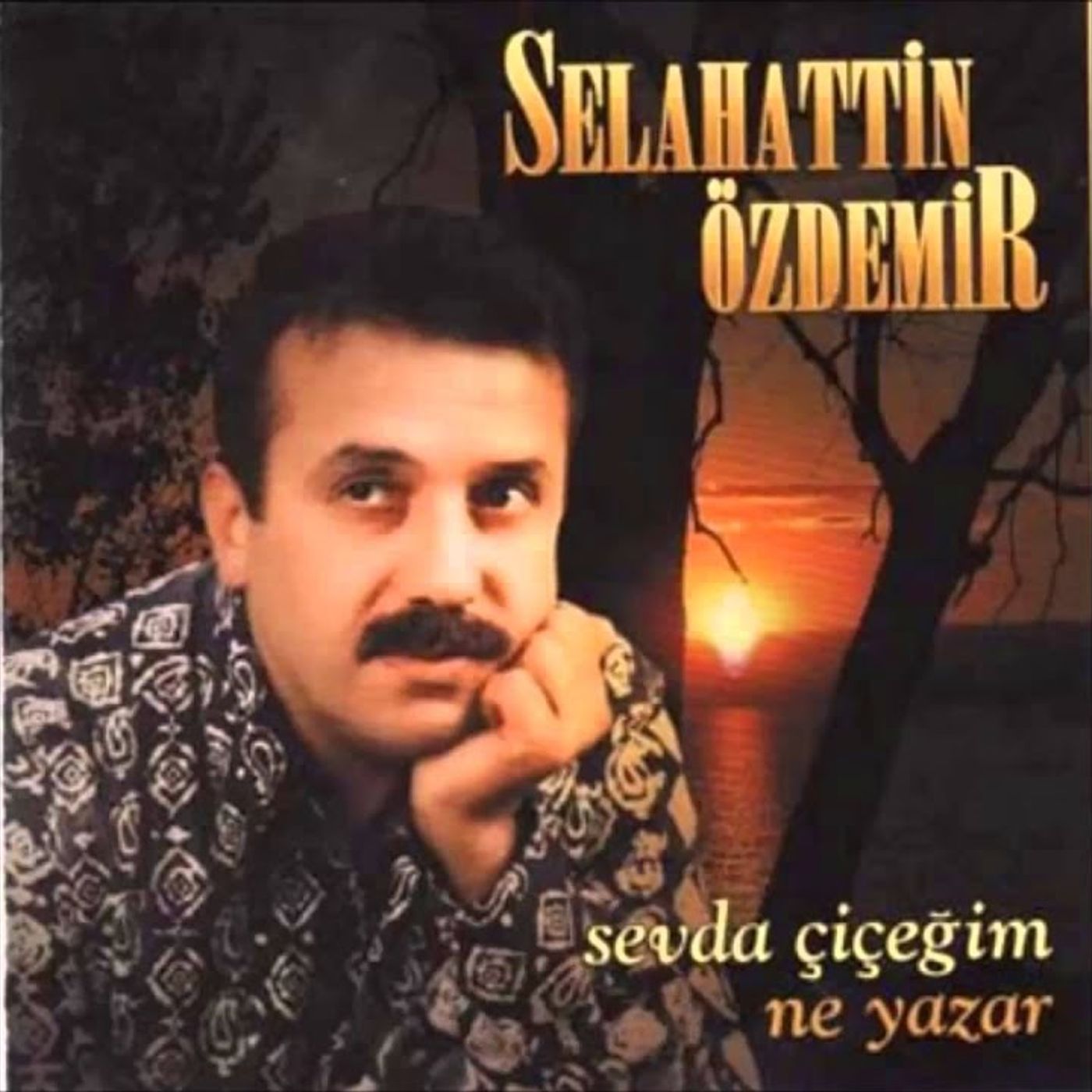 Selahattin Özdemir(Remix)