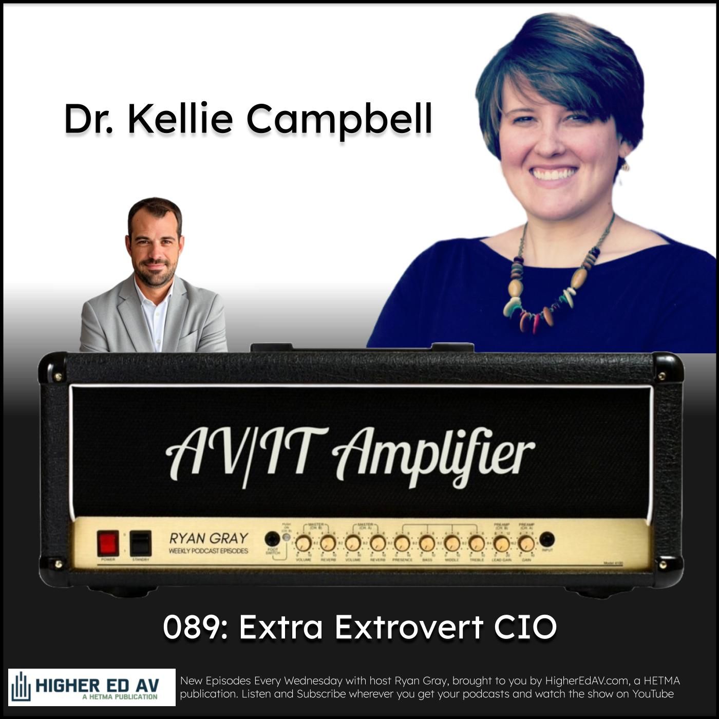 AV/IT Amplifier