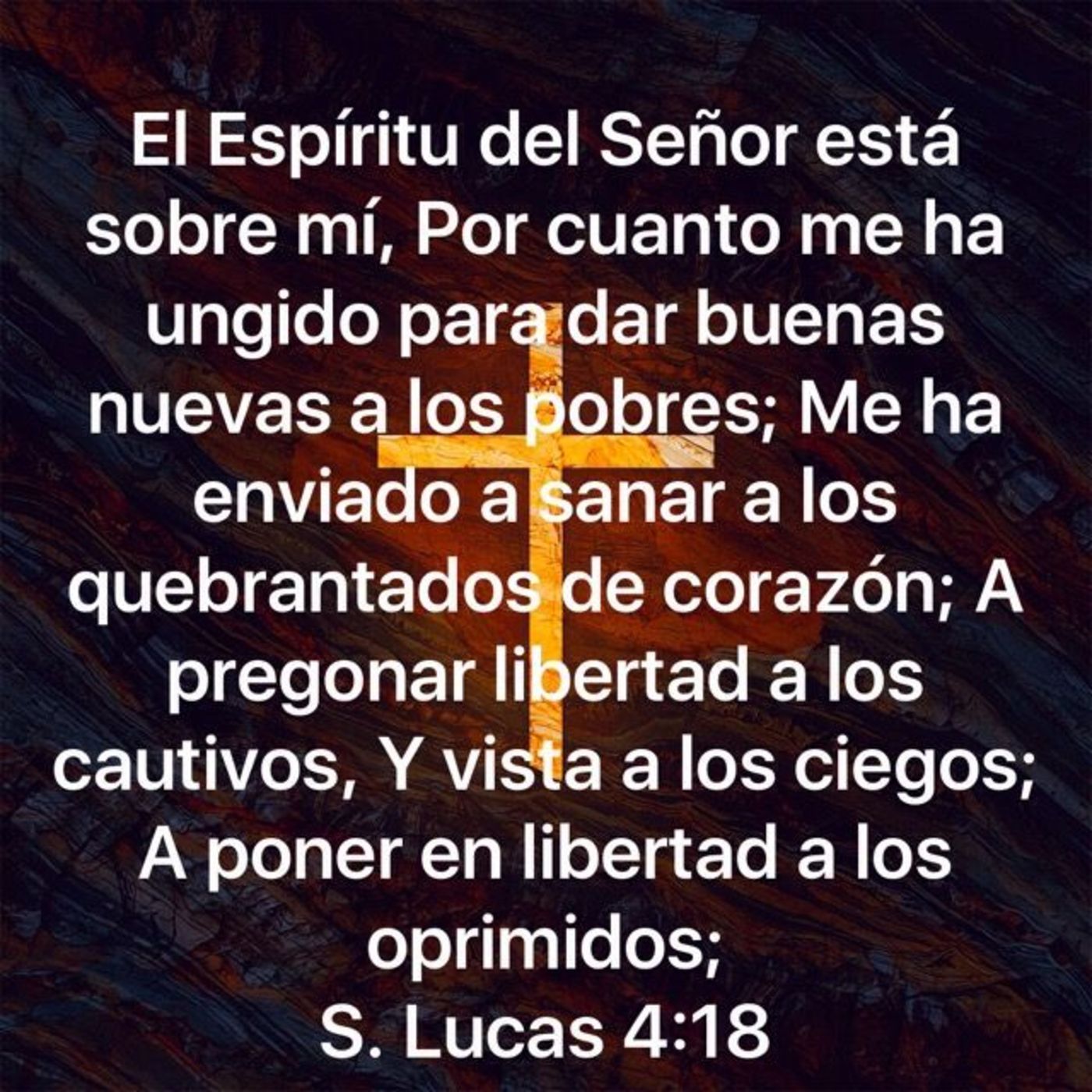 Proyecto hay vida en Jesús