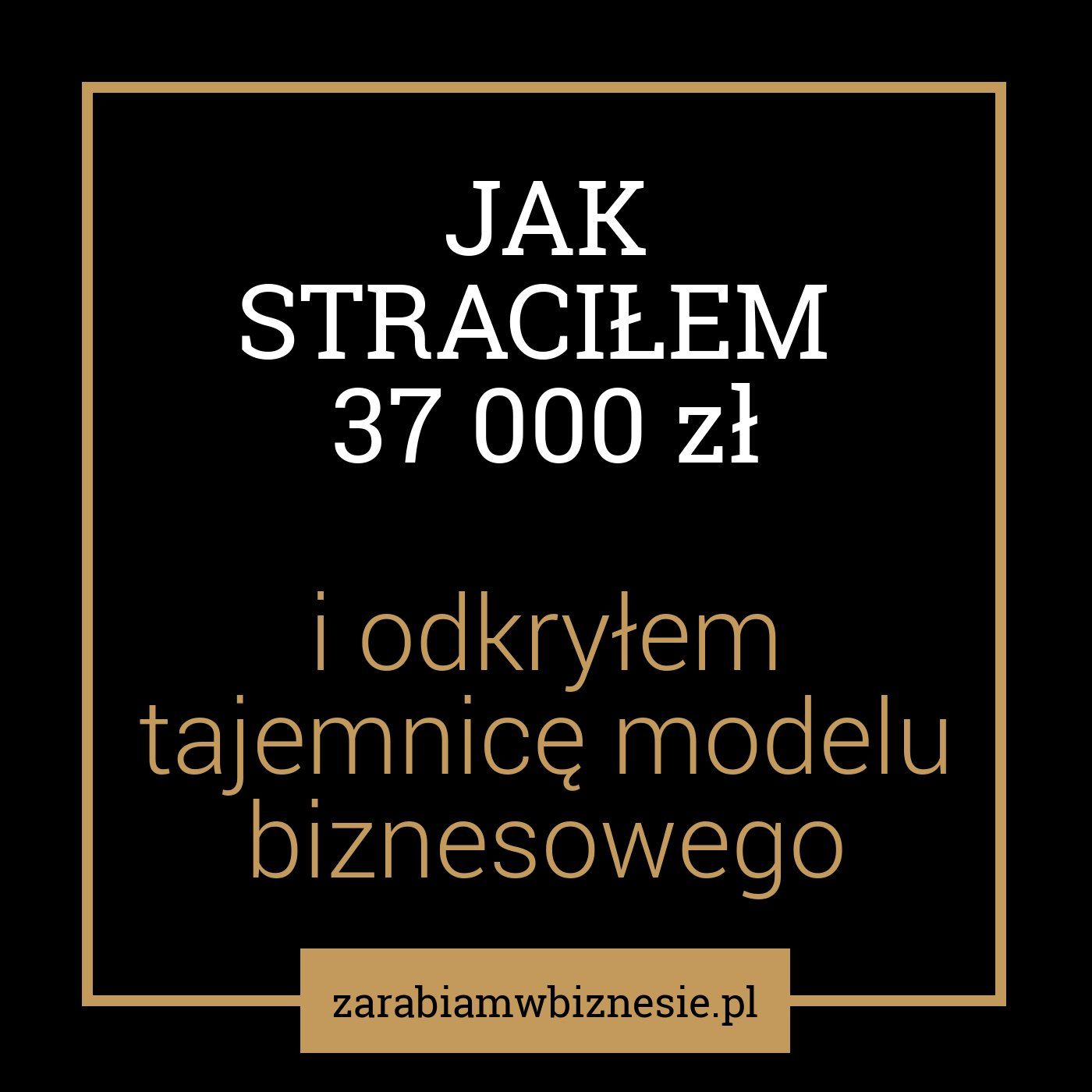 Zarabiam w Biznesie