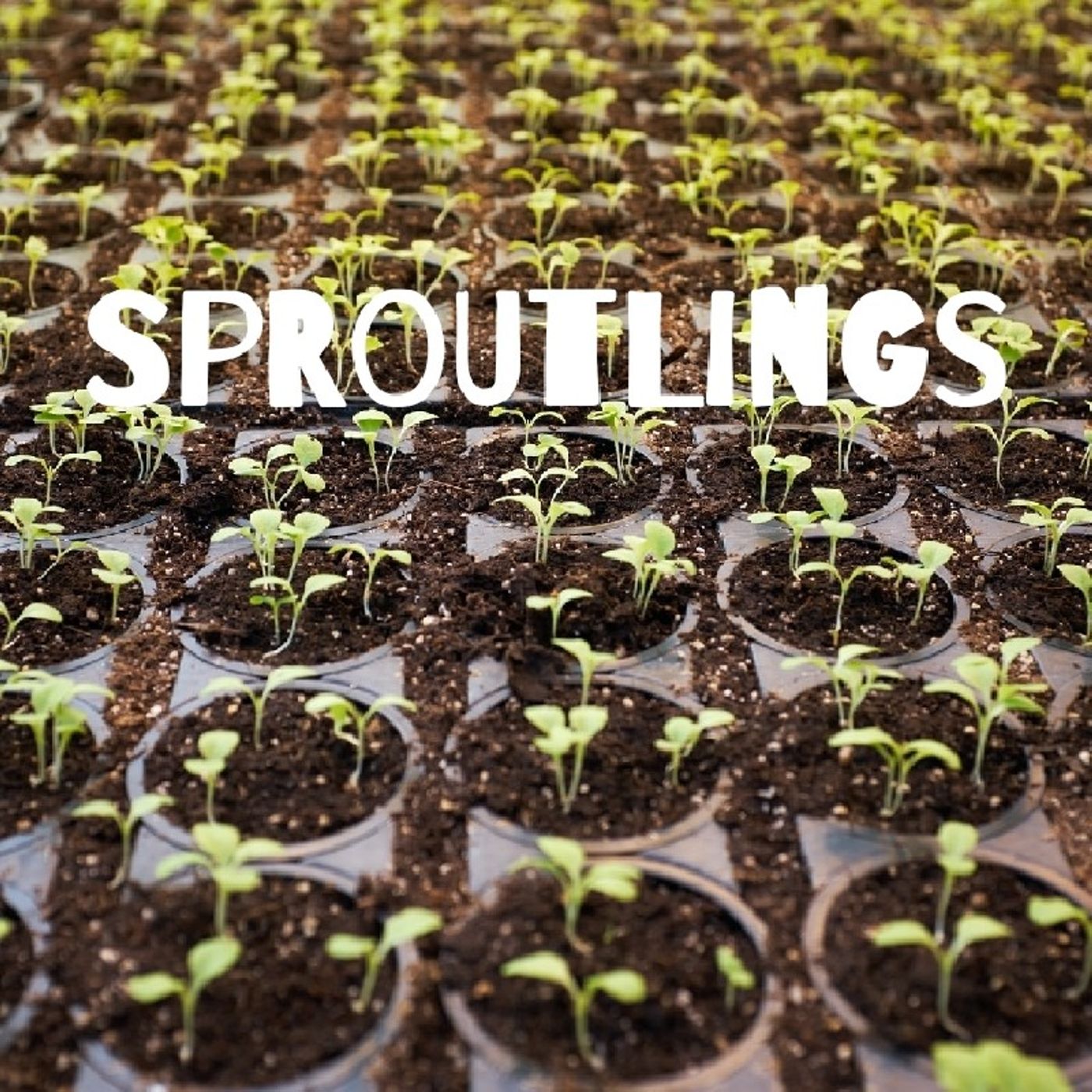 Sproutlings