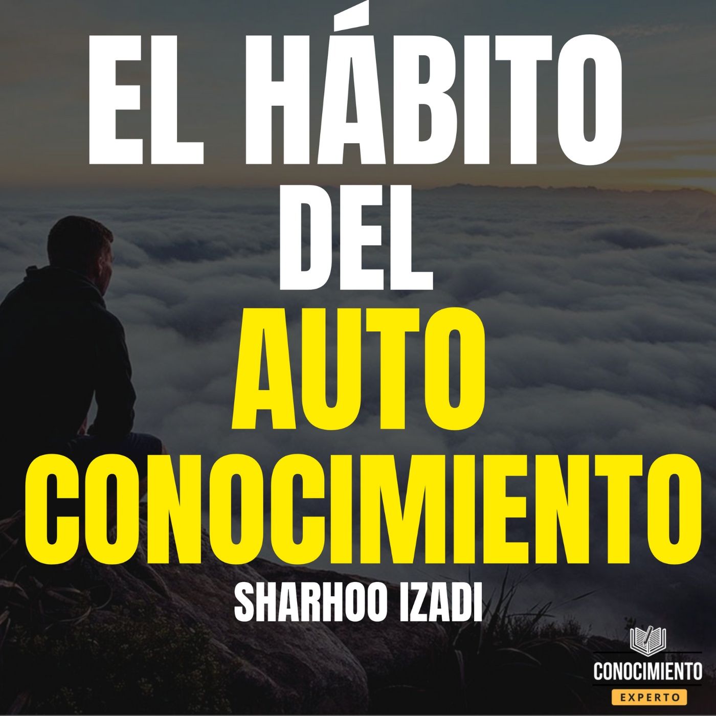 Conocimiento Experto