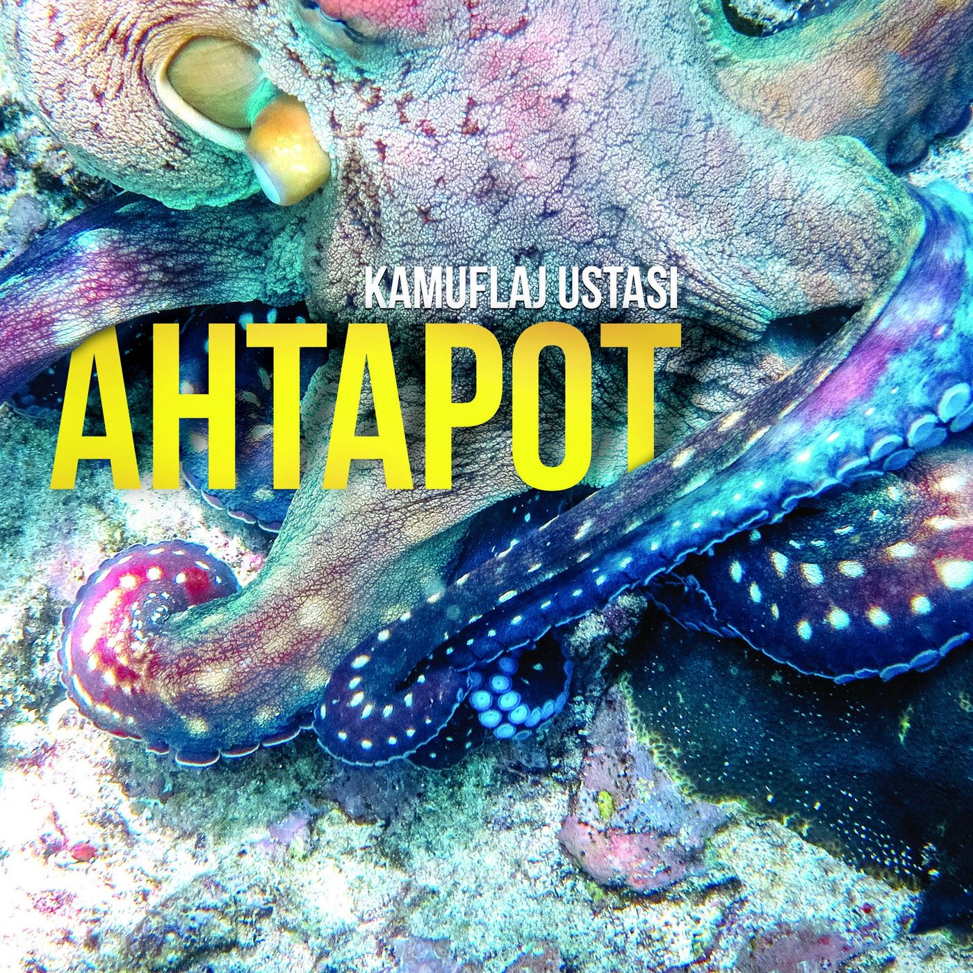 Kamuflaj Ustası AHTAPOT