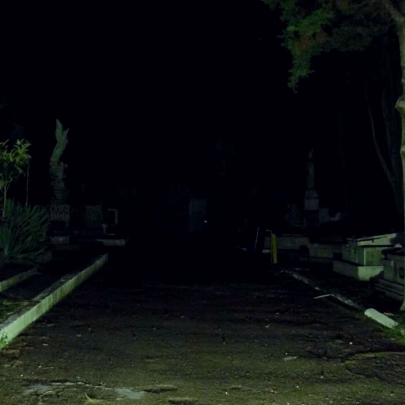 Rumbo Al Panteón Historias De Terror - REDE