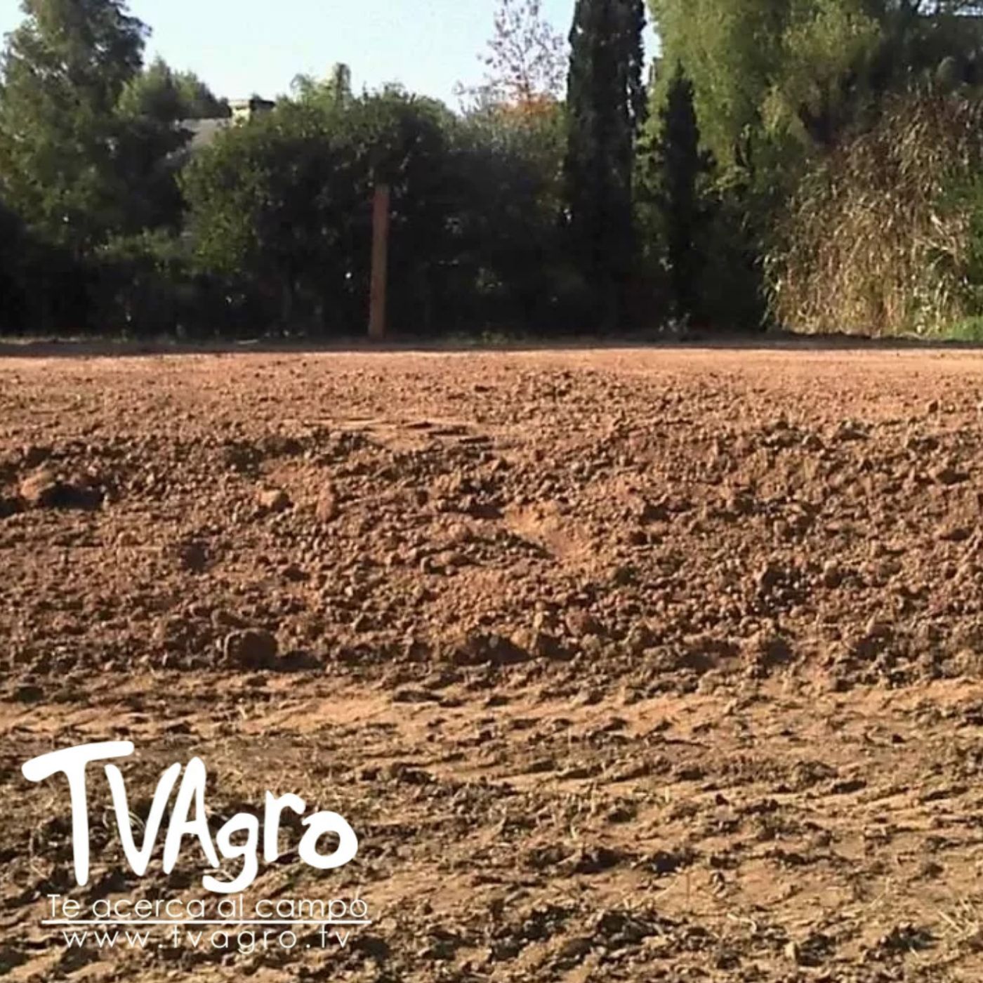 TV AGRO