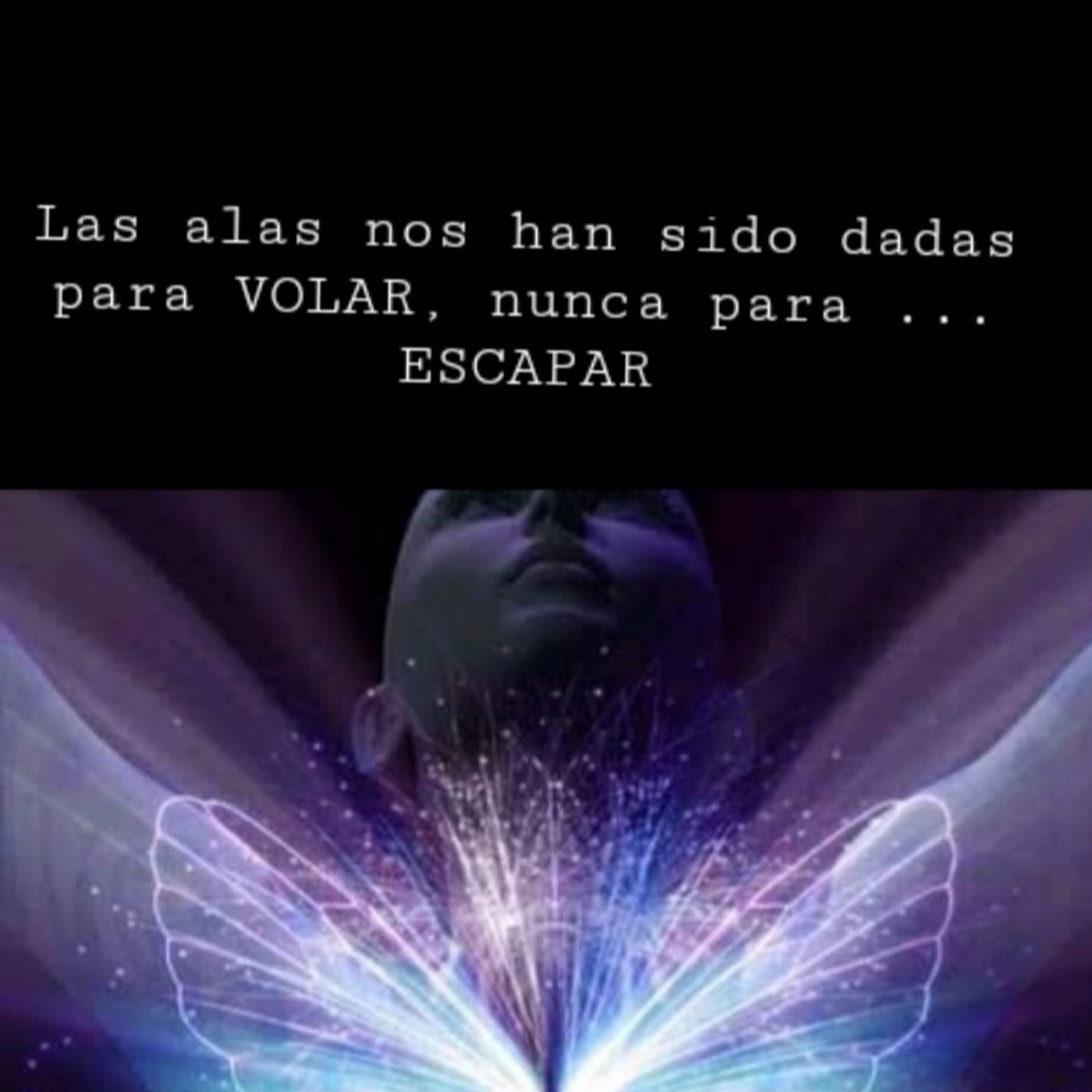 El podcast de Lily Palacio Montaño