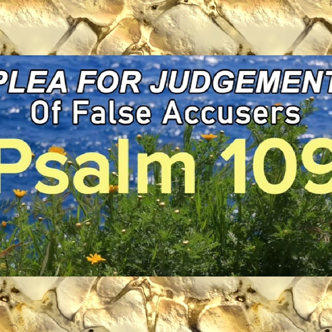 PSALMS SERIES(PLEA FOR JUDGMENT OF FALSE ACCUSERS!THE PSALMS WHERE LEFT FOR US FUTURE KINGS!YAH WILL AVENGE US PURE HEARTS!) episode artwork