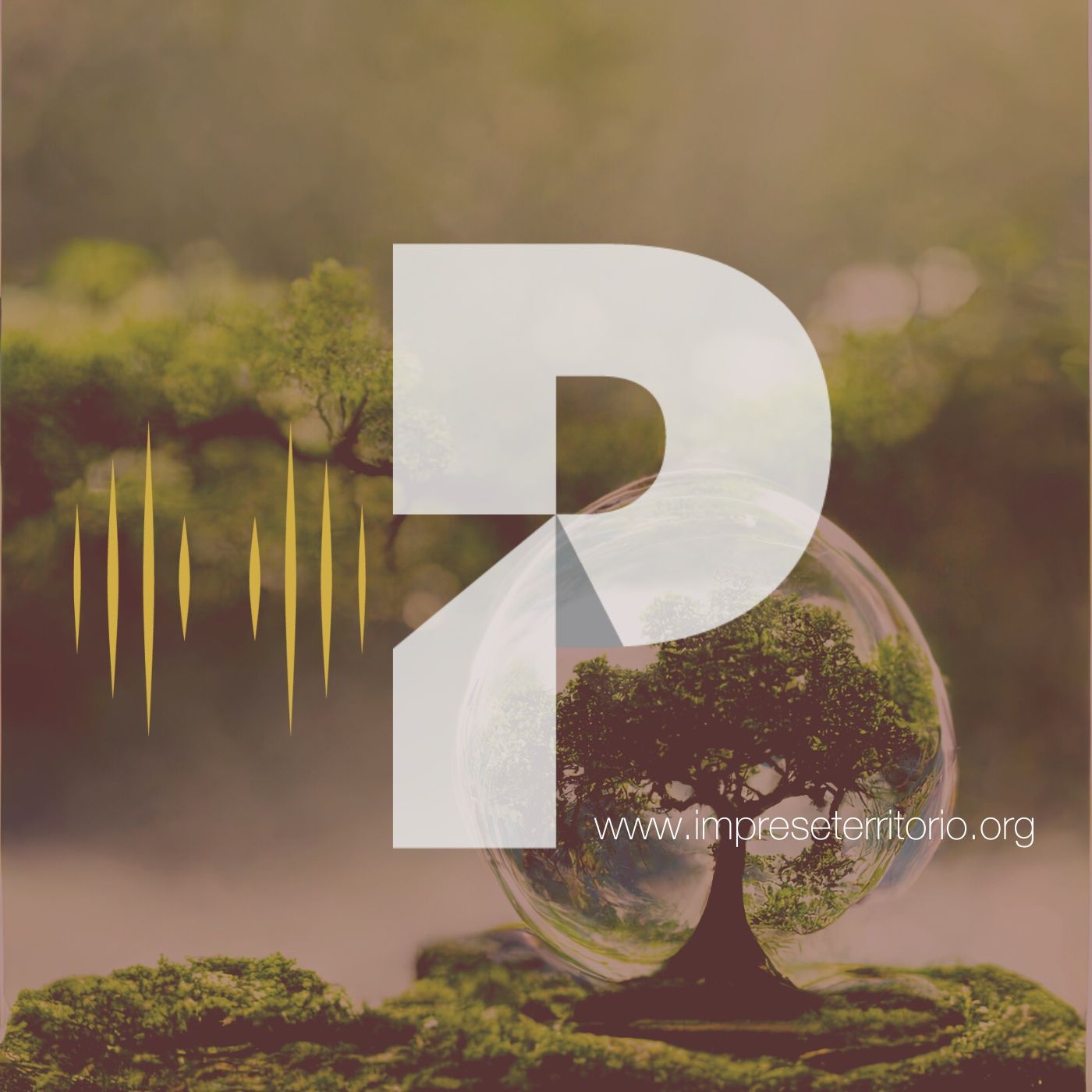 Rivoluzione Esg: come si trasforma un'azienda che punta sulle persone e l'ambiente episode artwork