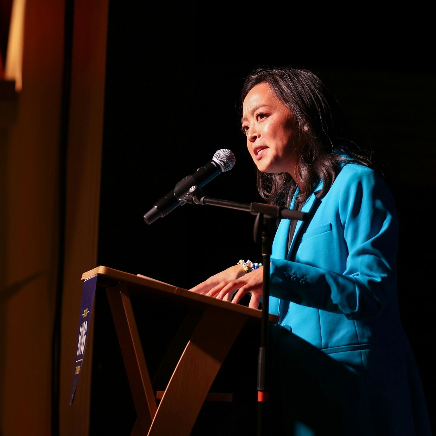 Can Dems flip state legislatures?