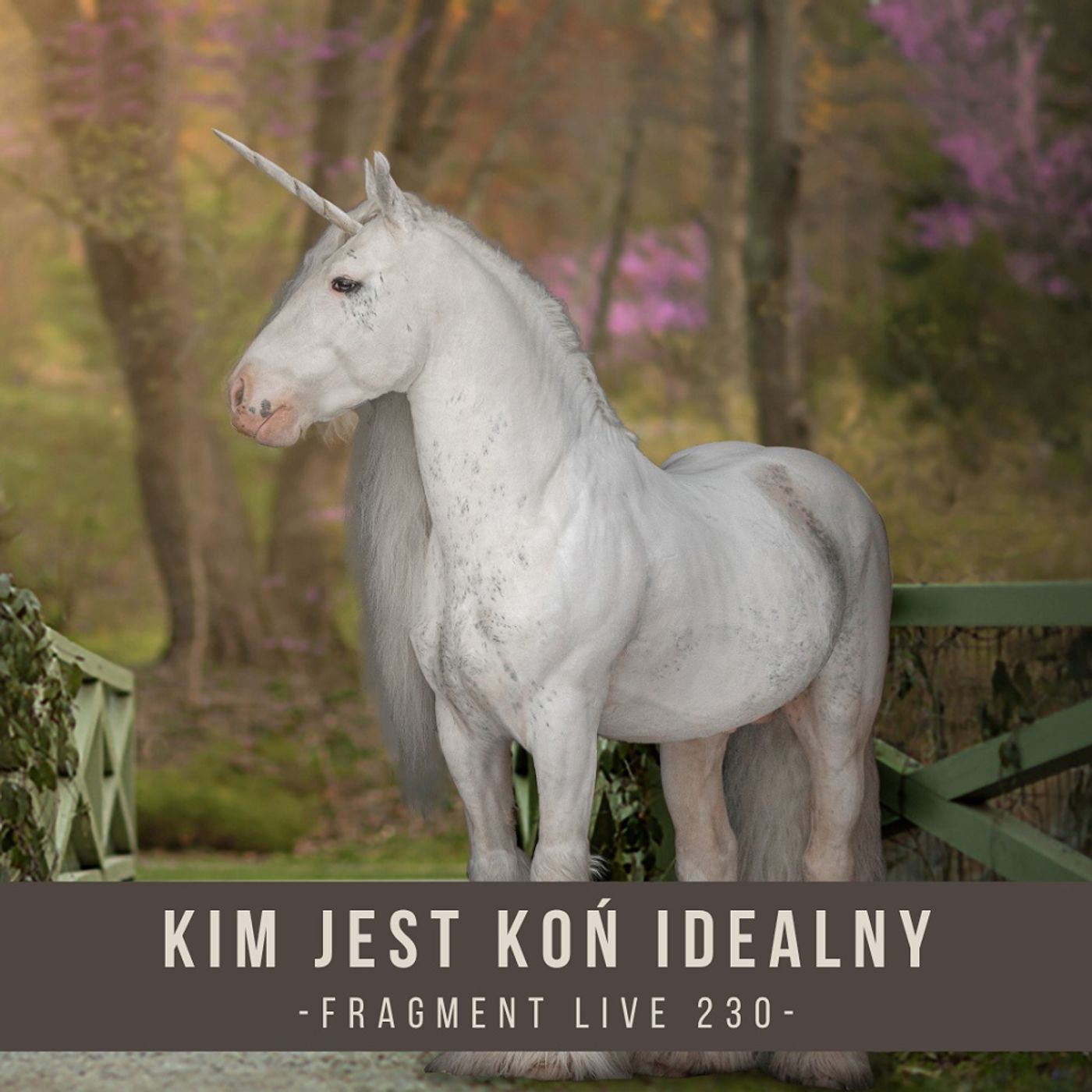 Kim jest koń idealny - fragment live 230