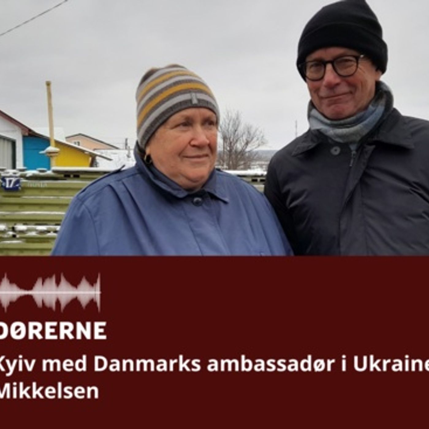 Ambassadørerne