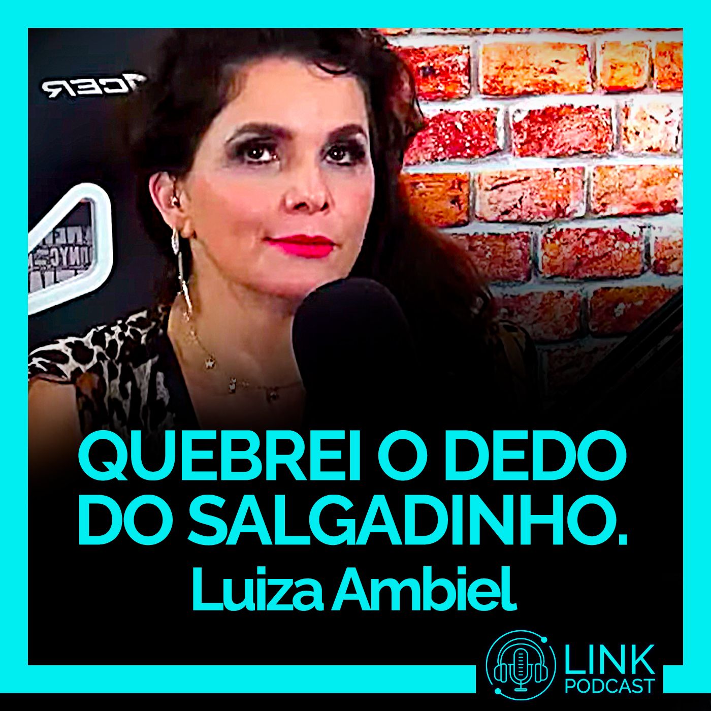 Link Podcast