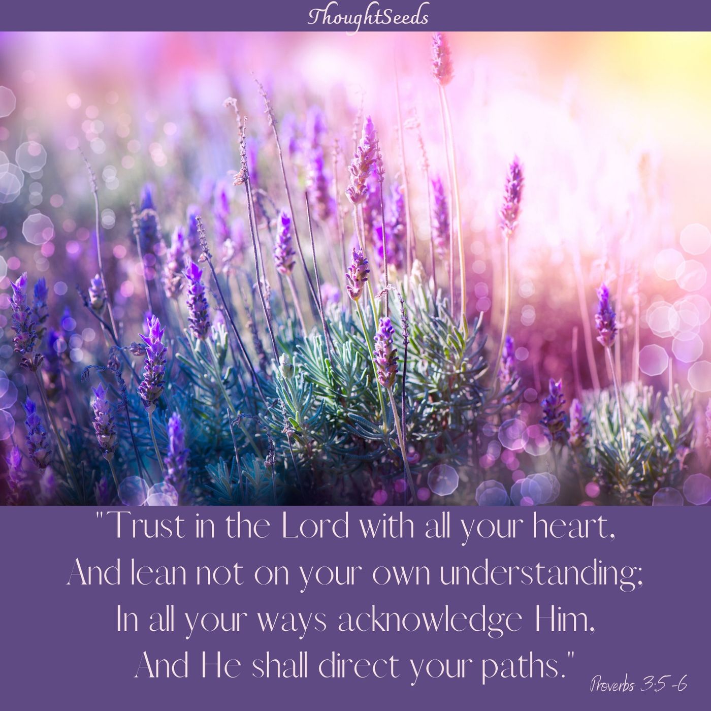 Episode 143: Learning to Trust God: A Personal Journey, Part 1 episode artwork