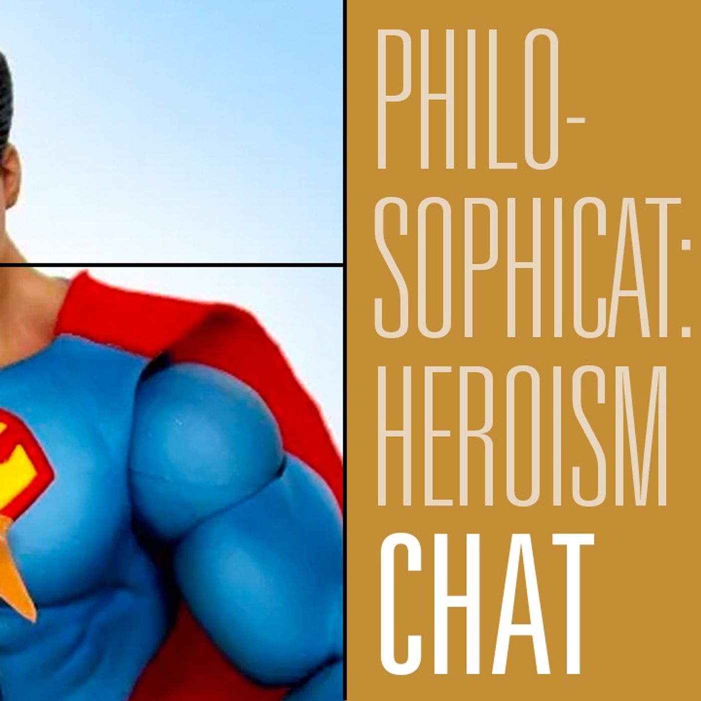 Speaking With YouTuber PhilosophiCat on the State of Men and Heroism | Fireside Chat 209