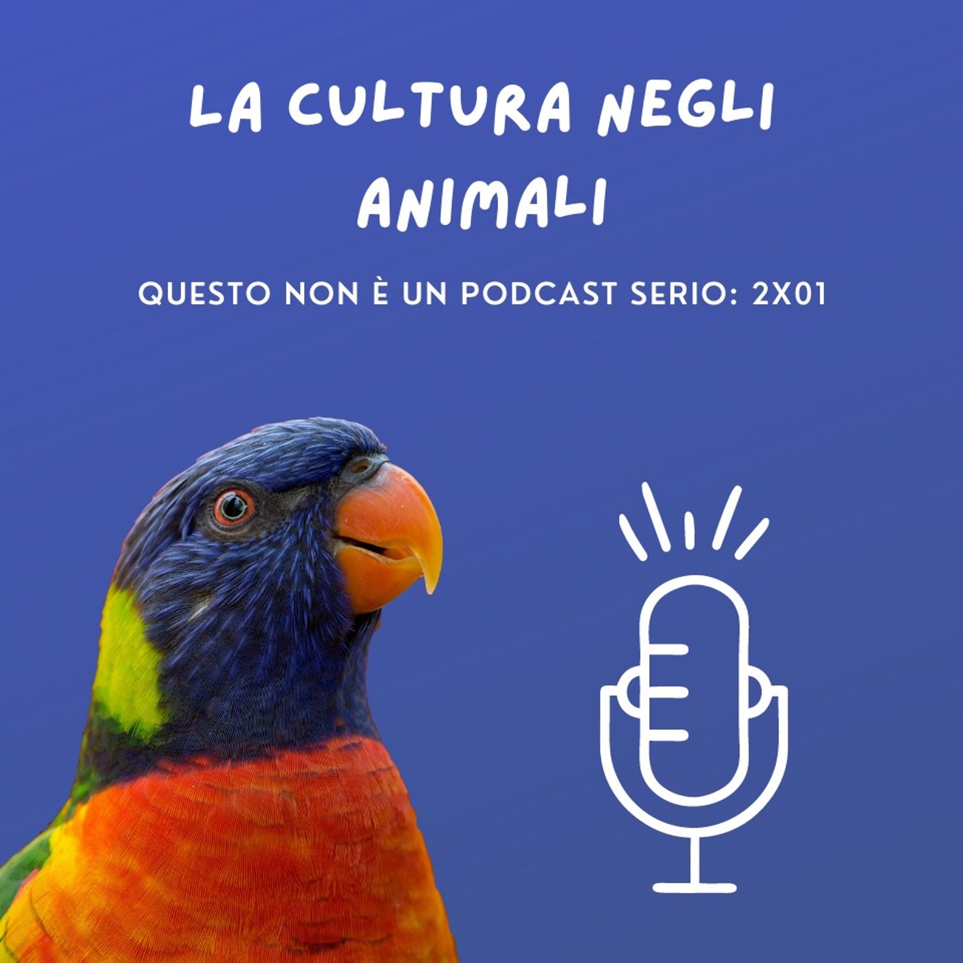 La cultura negli animali: 2x01 🐦