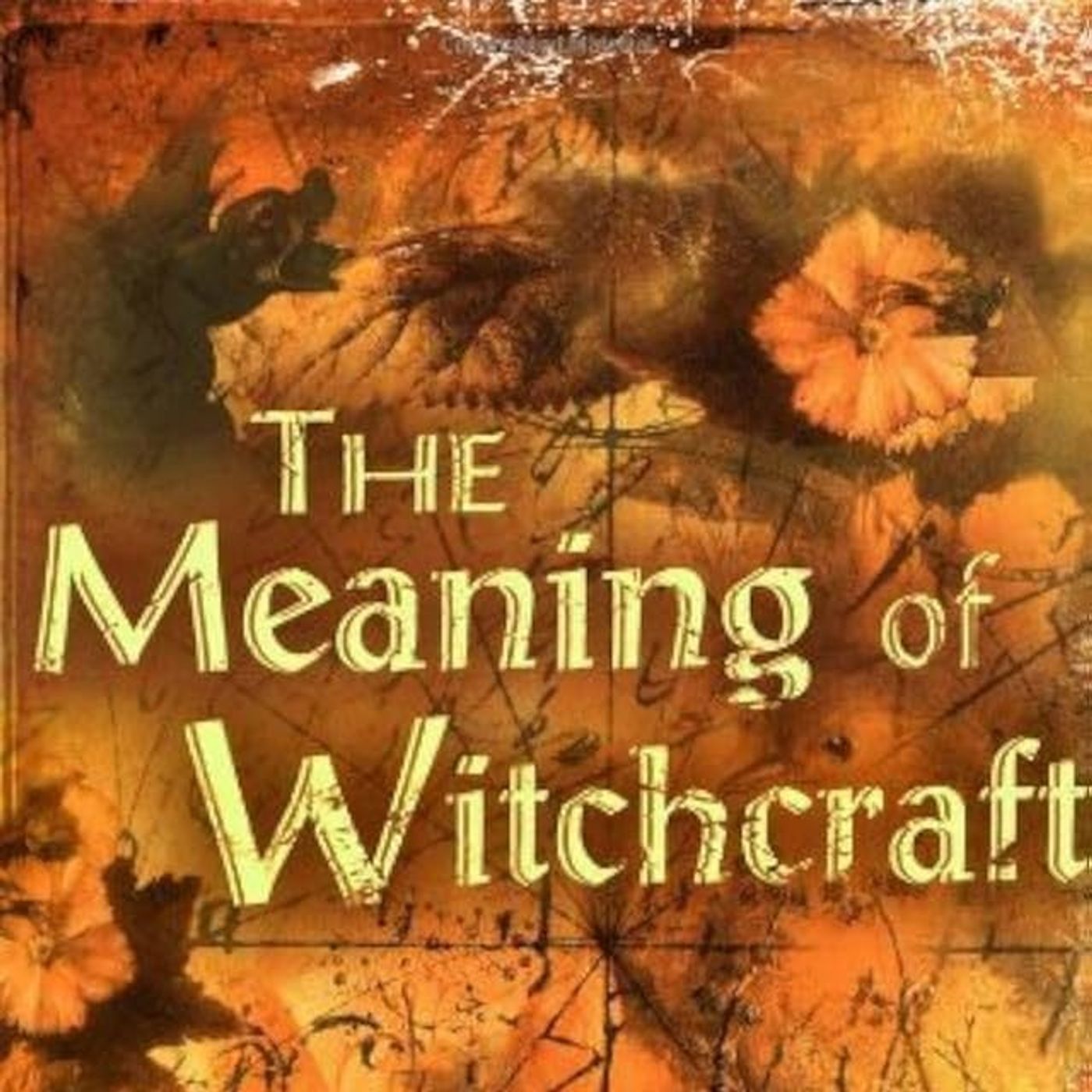 The Meaning of Witchcraft