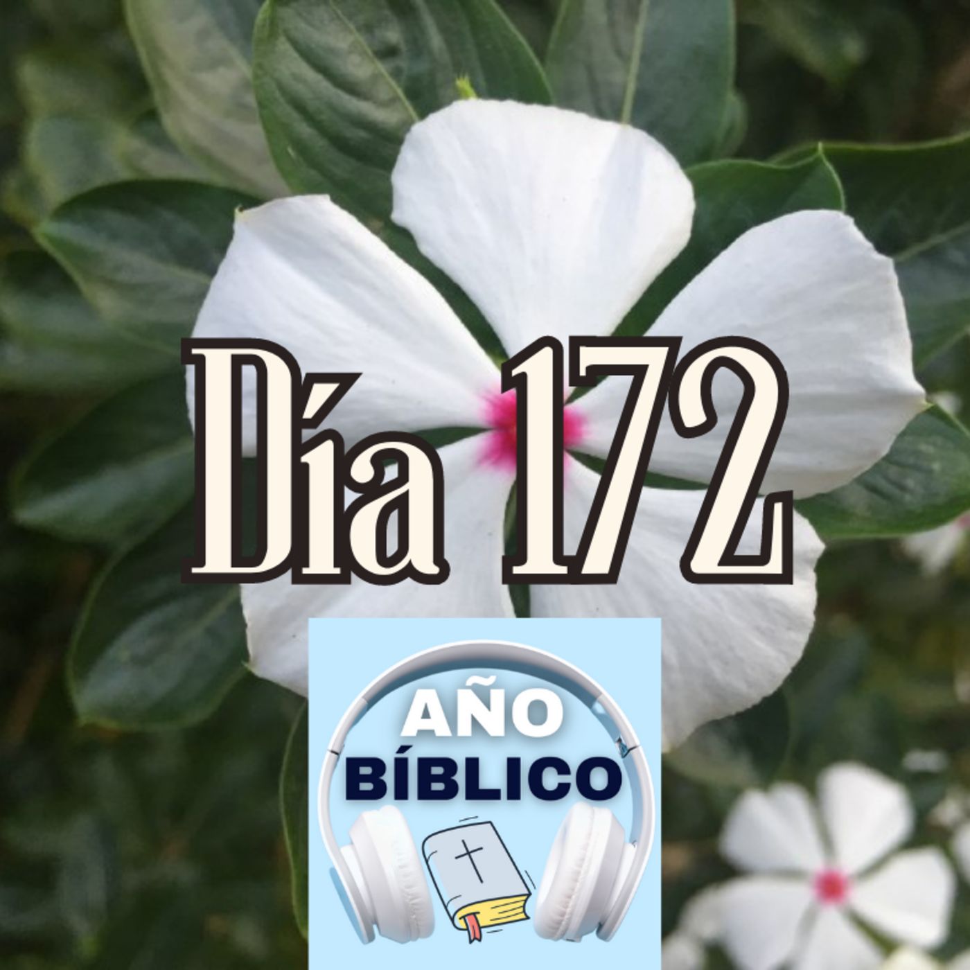 Día 172 - Salmos 74:1-11, 2 Reyes 24-25 y Romanos 1:1-17 episode artwork