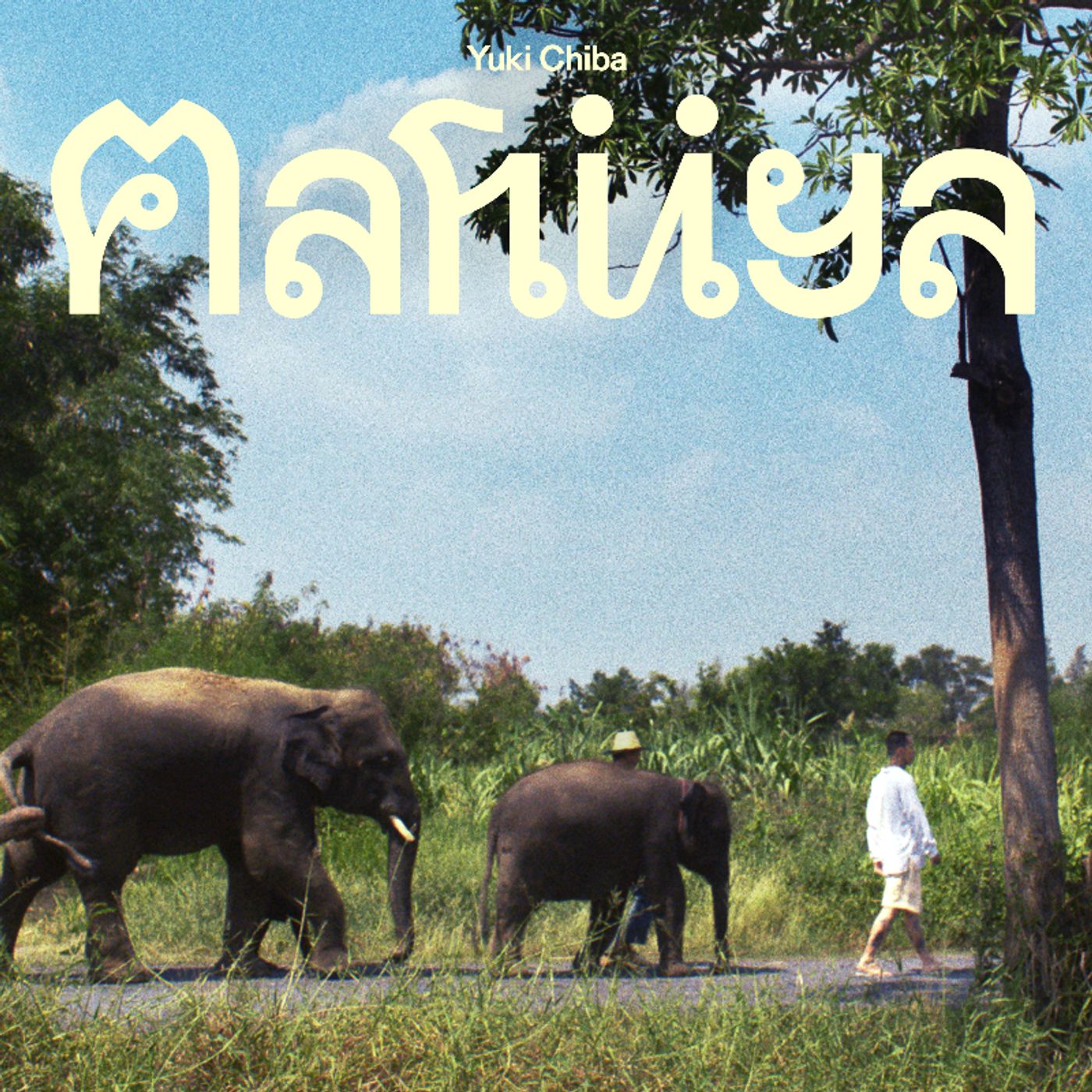 千葉雄喜、「Amazing Thailand」キャンペーンソングに起用　ワーナーミュージック・ジャパン×タイ国政府観光庁がコラボ episode artwork