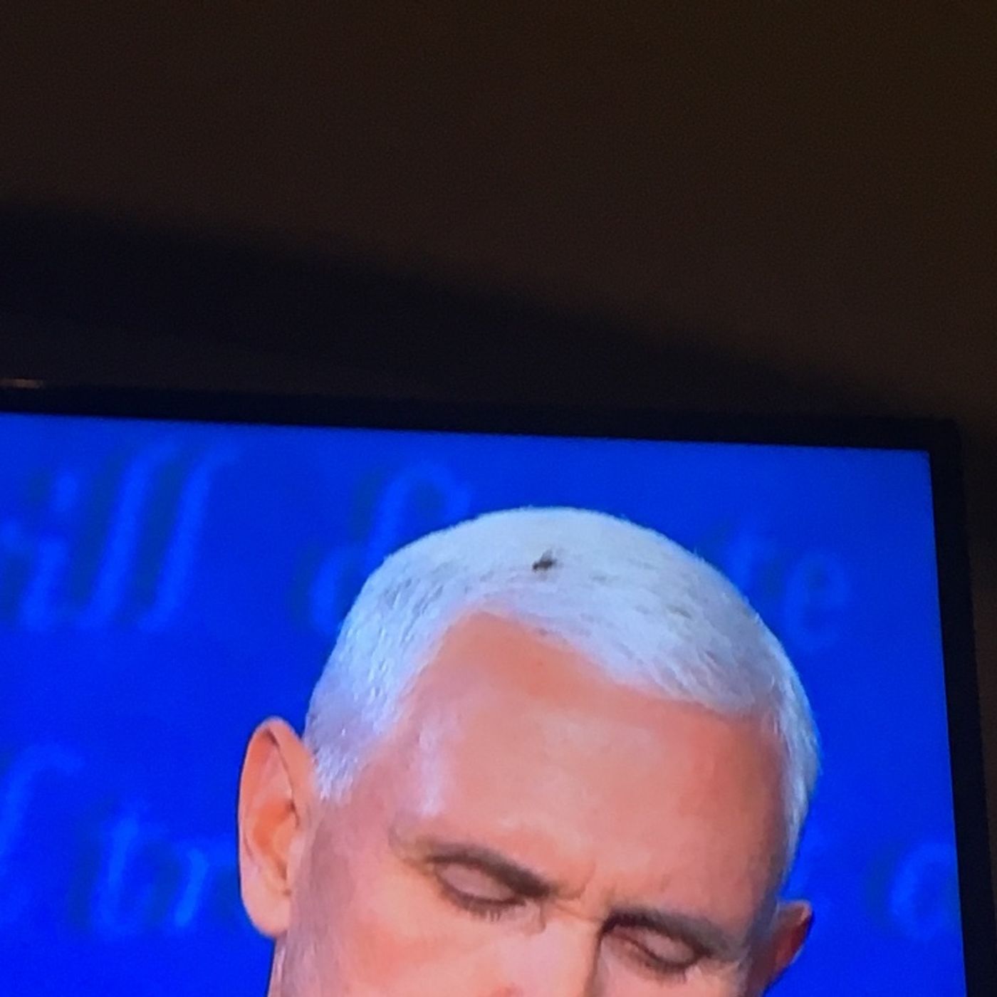 Fly on Mike Pence head said it all!!! episode artwork