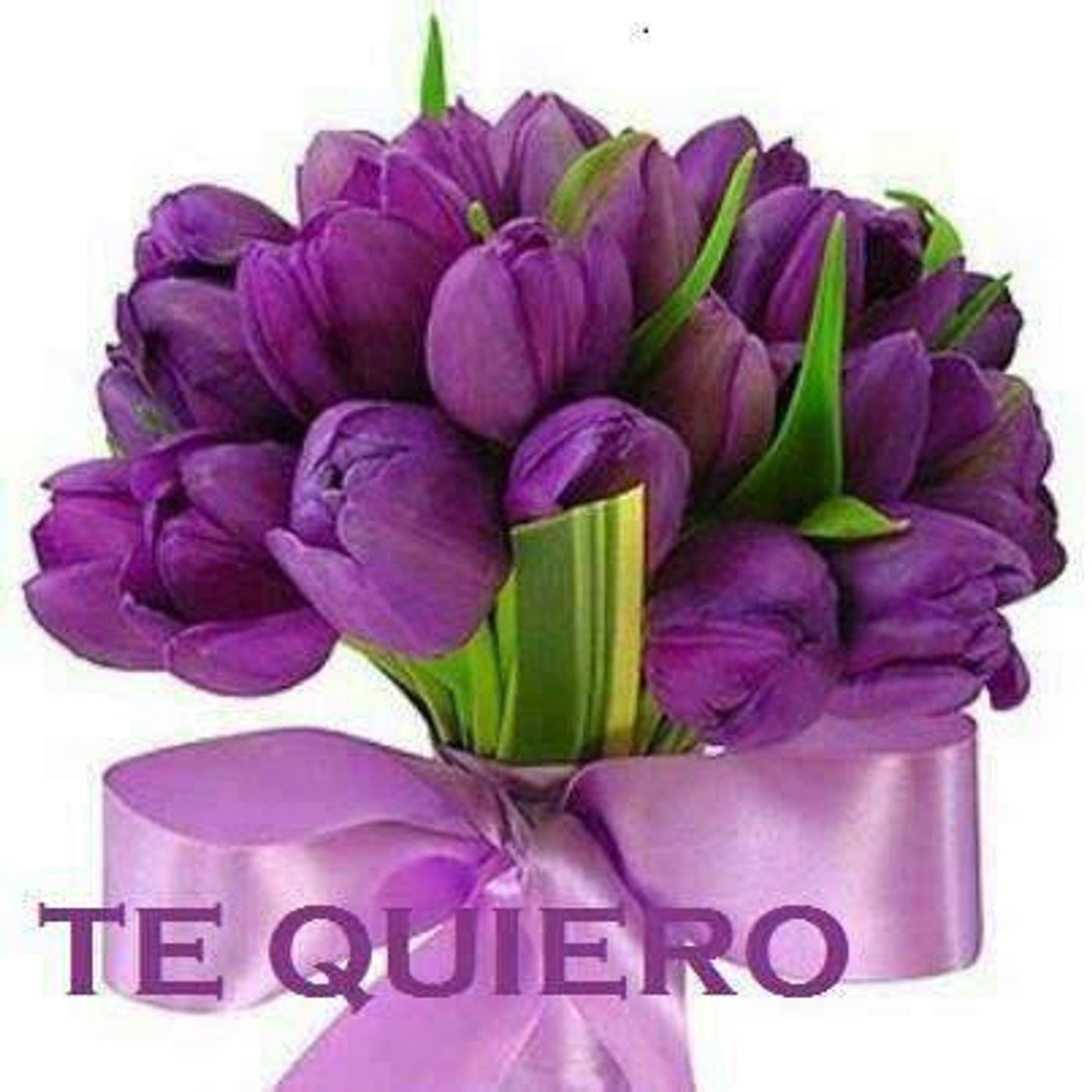 El show de Gloria Arlita Tello Aguilar
