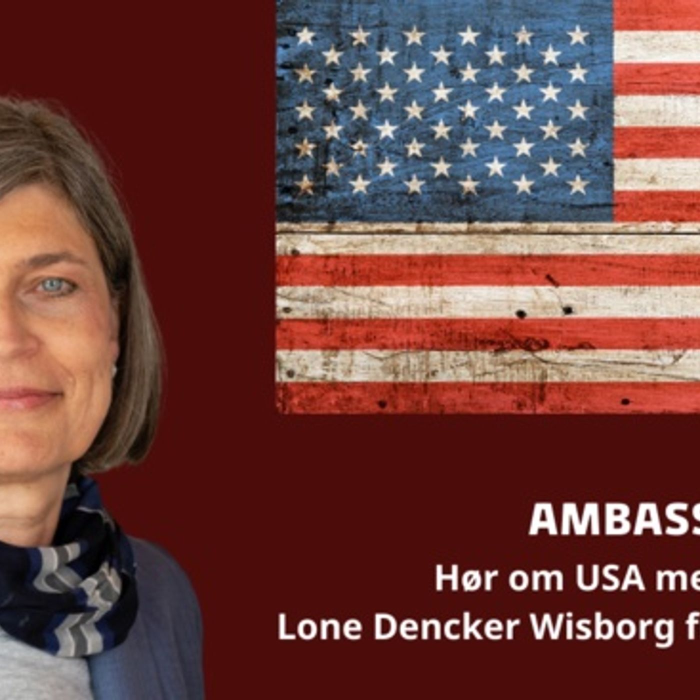 Ambassadørerne