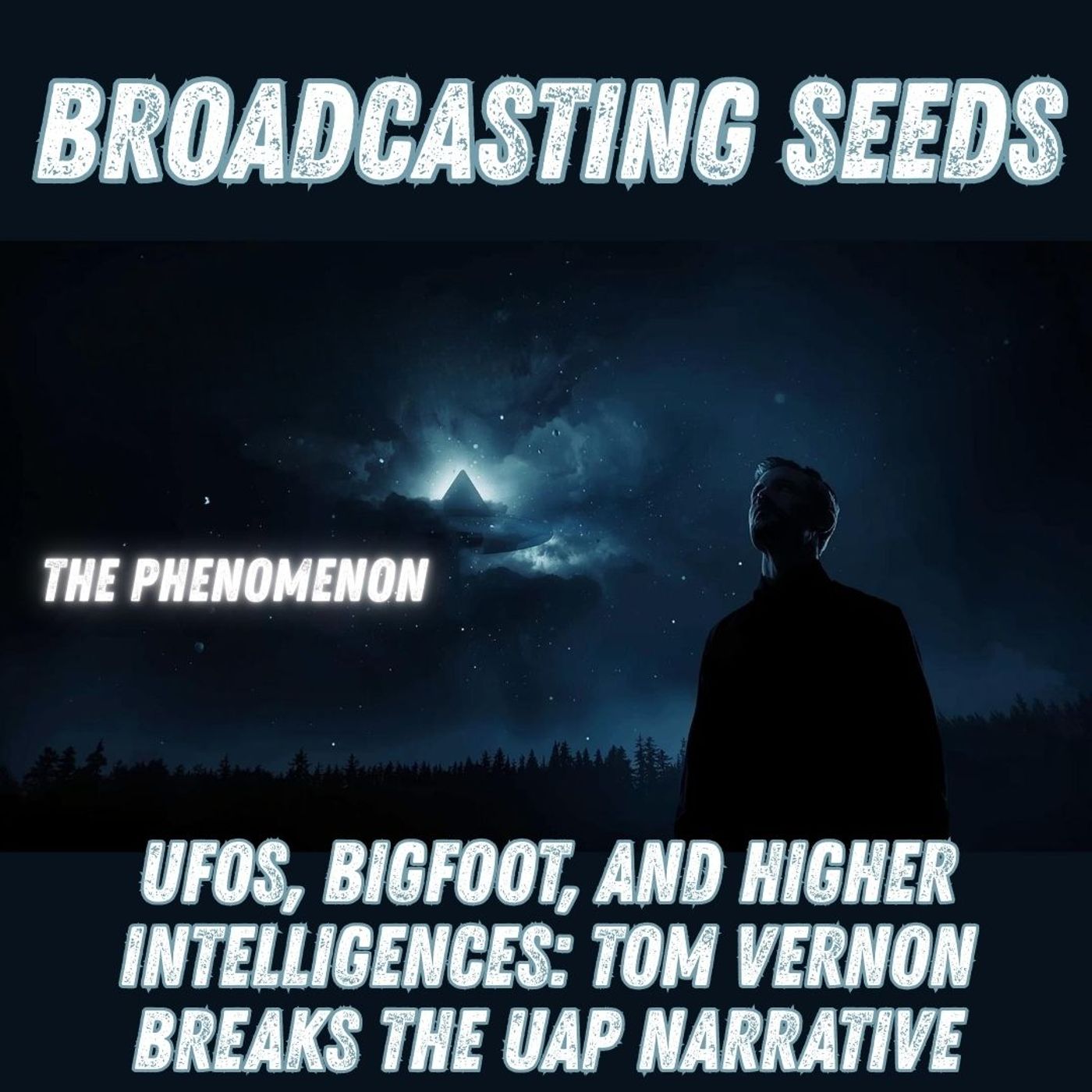 UFOs, Bigfoot, and Higher Intelligences | Tom Vernon Breaks the UAP Narrative