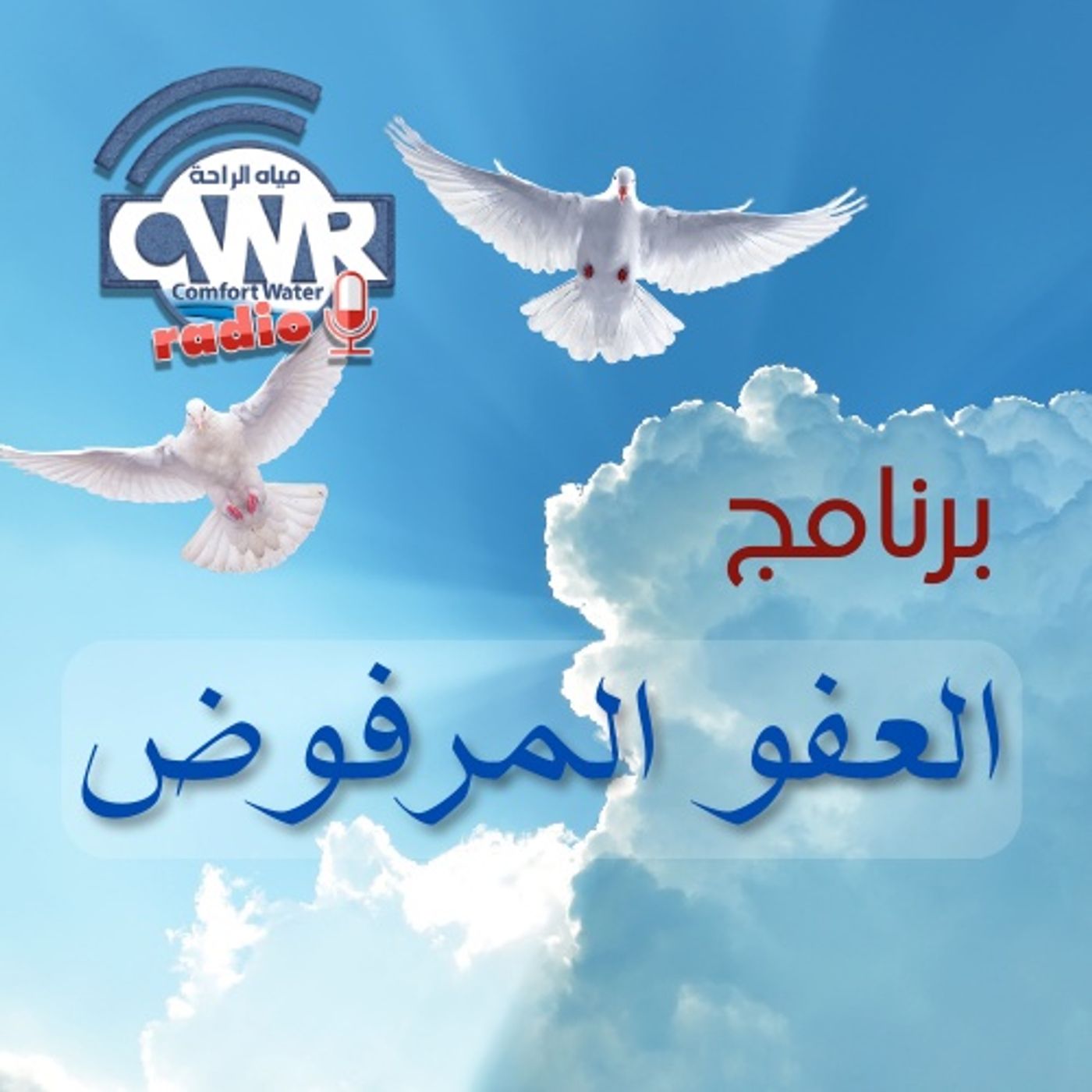 برنامج العفو المرفوض