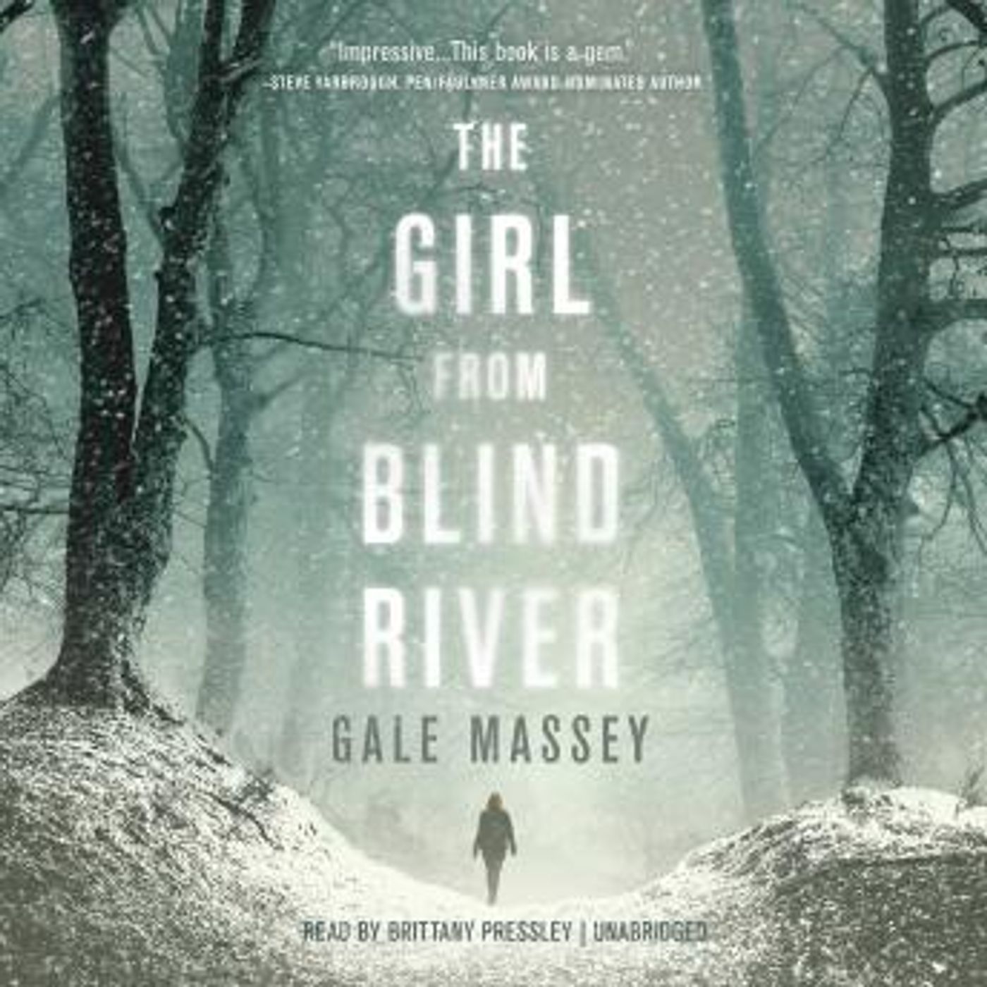 The Girl from Blind River: A Novel by Gale Massey episode artwork