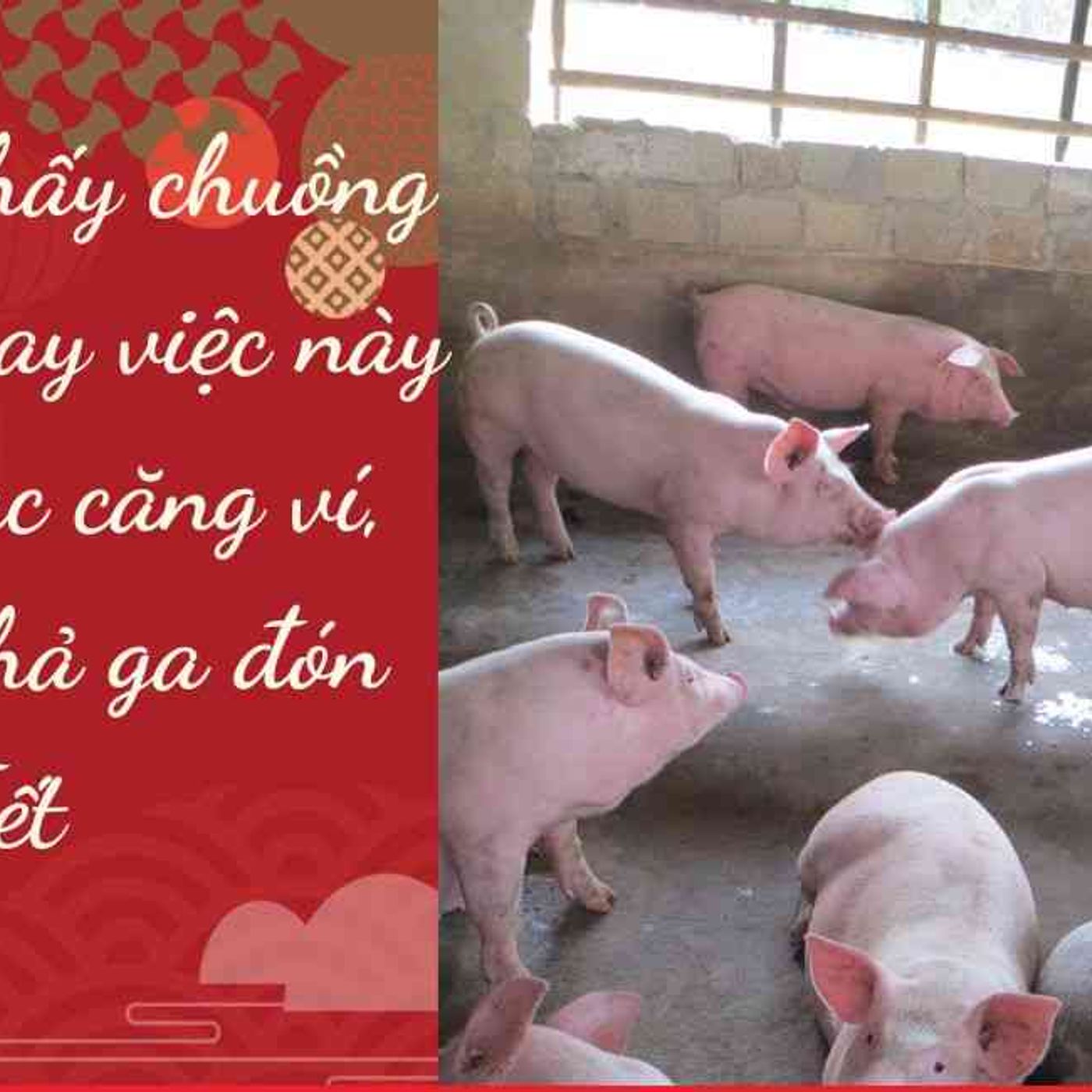 Nằm Mơ Thấy Chuồng Heo: Bí Ẩn Giấc Mơ Và Con Số May Mắn episode artwork