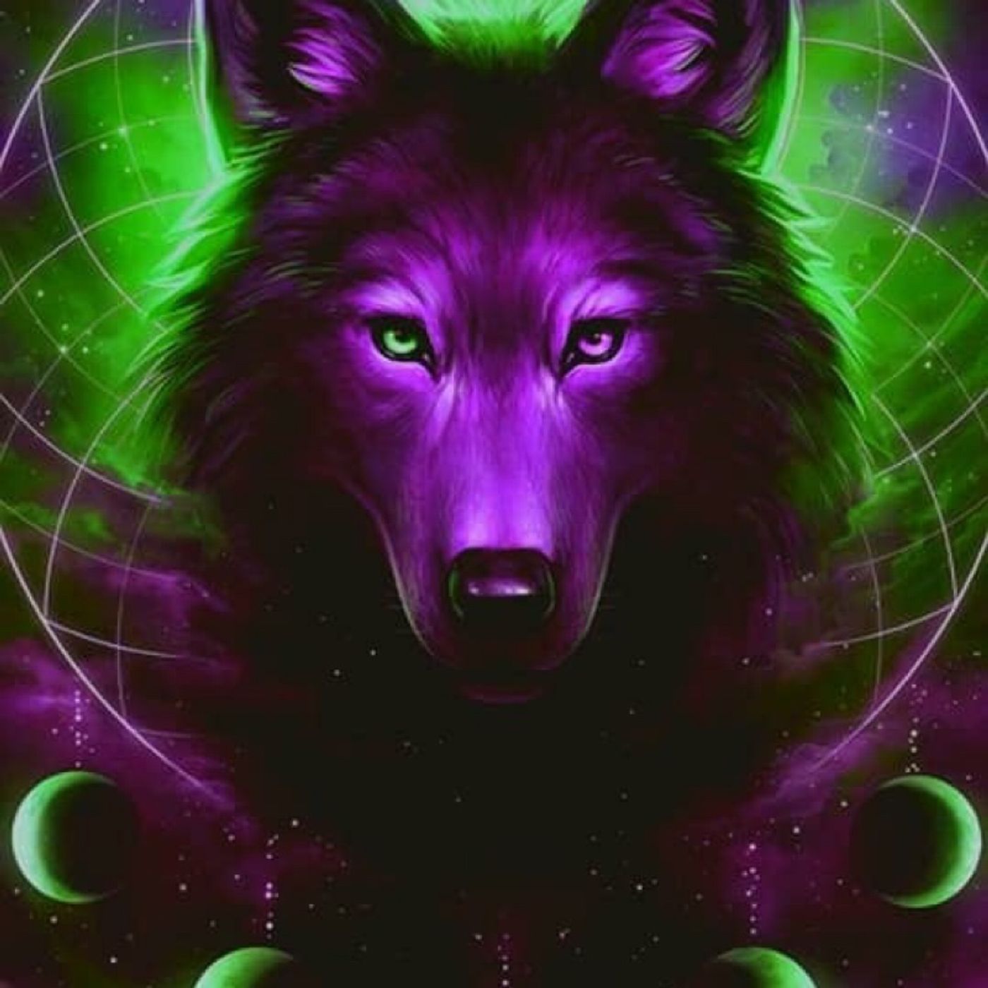 Investigation tonight