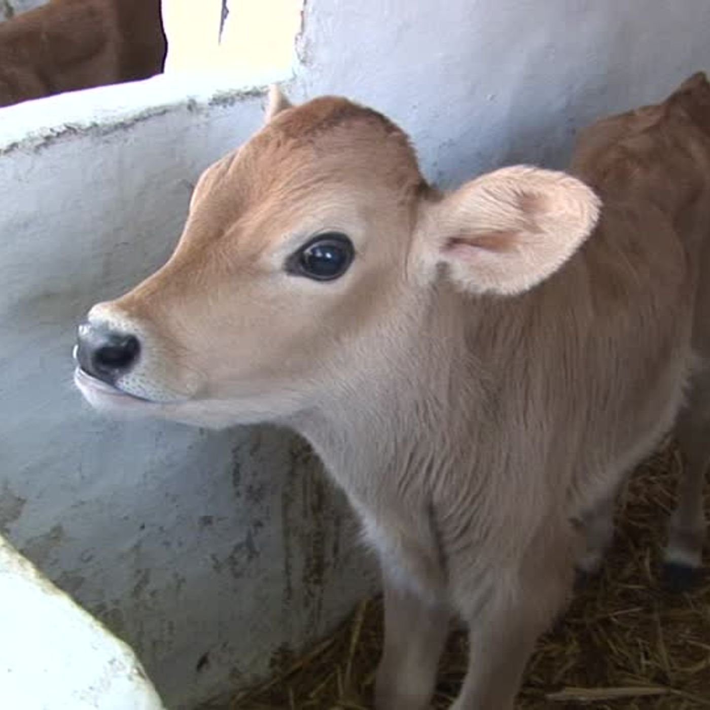 OMG WERE BACK cover art