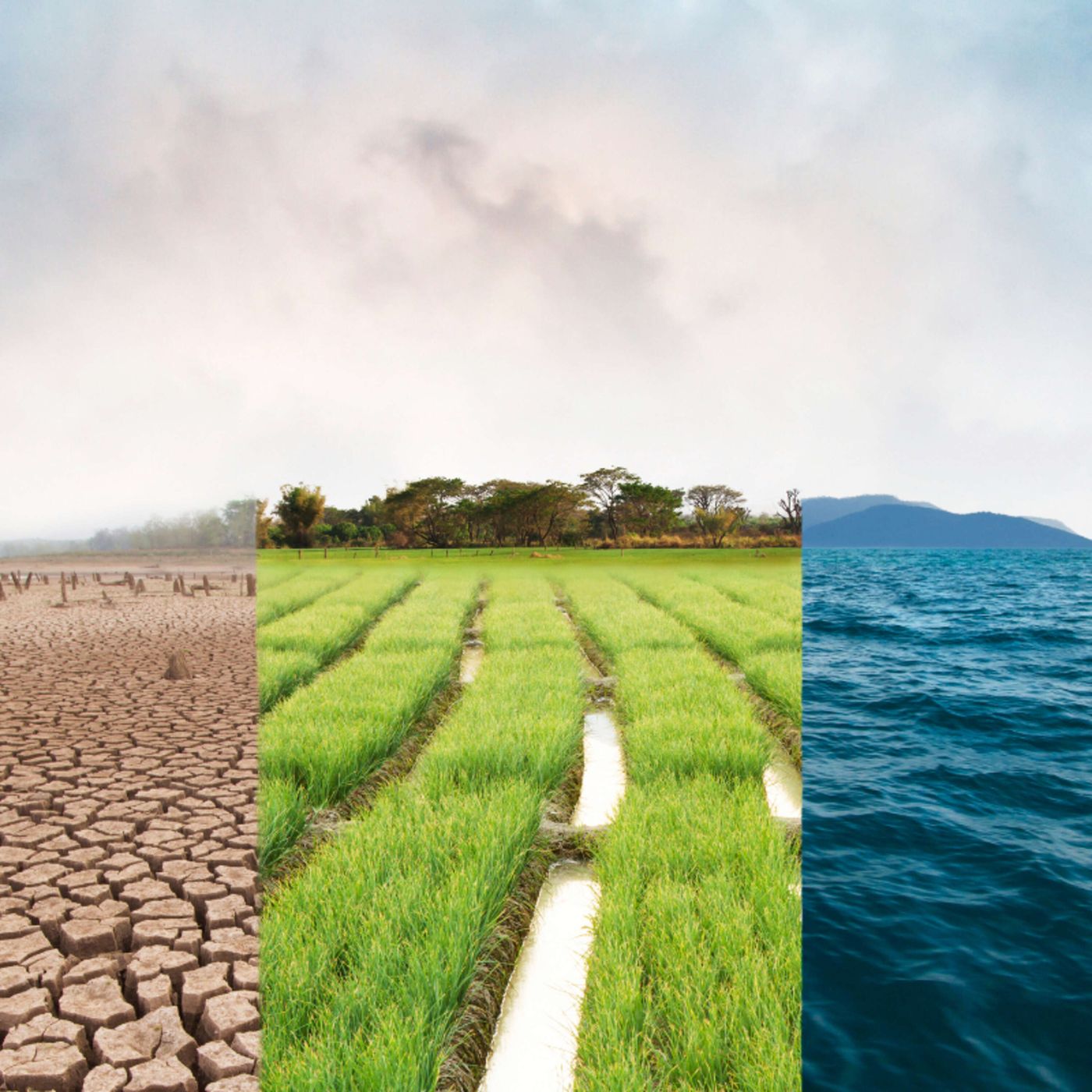 Environment and Climate News Podcast