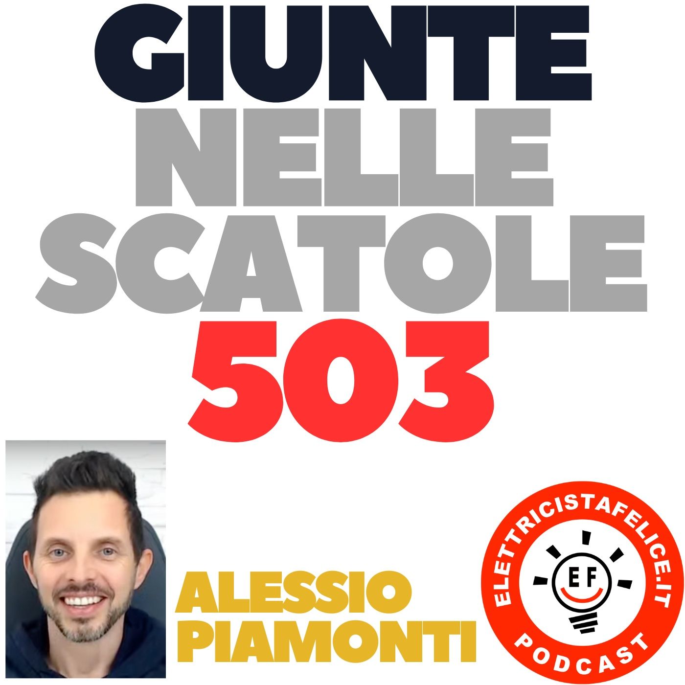 Elettricista felice