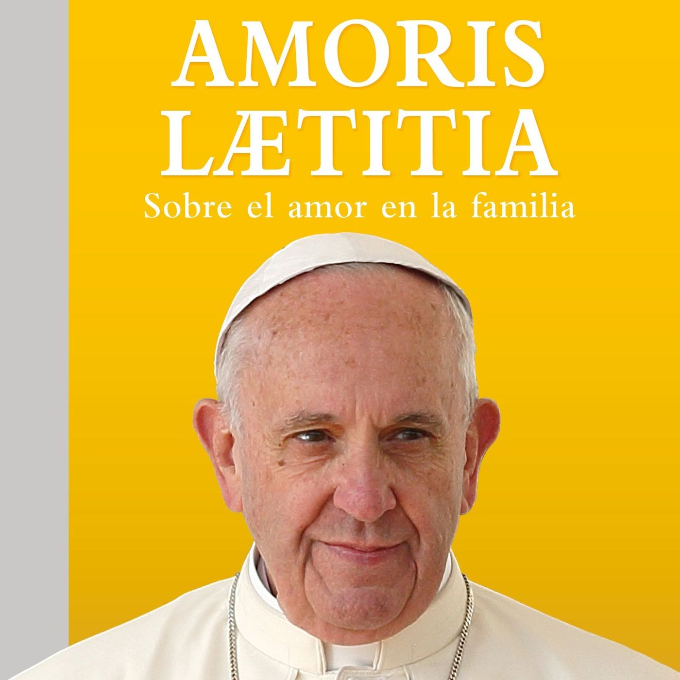 FORMACIÓN CATÓLICA. ENCÍCLICAS Y OTROS DOCUMENTOS.