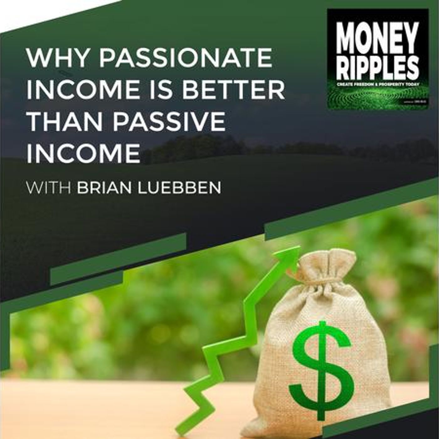 Why Passionate Income Is Better Than Passive Income With Brian Luebben | 698 episode artwork