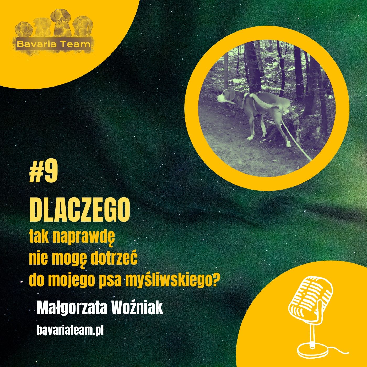 #9. Dlaczego tak naprawdę nie mogę dotrzeć do mojego psa myśliwskiego? episode artwork