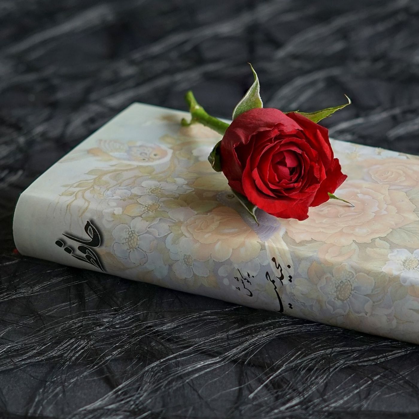 Romanzi di grandi autori e poesie