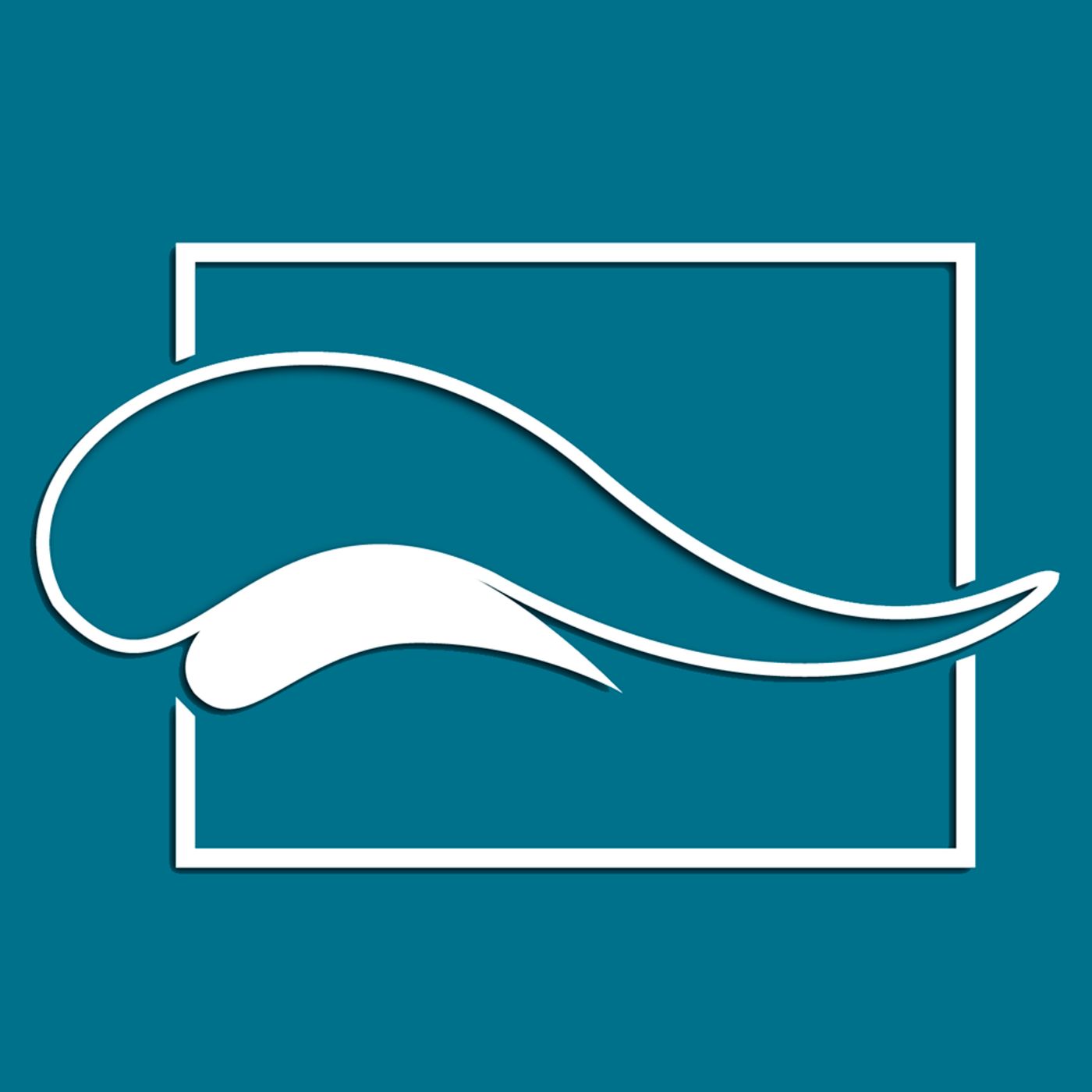 ModernPools - Modern turnkey pool builder podcast artwork