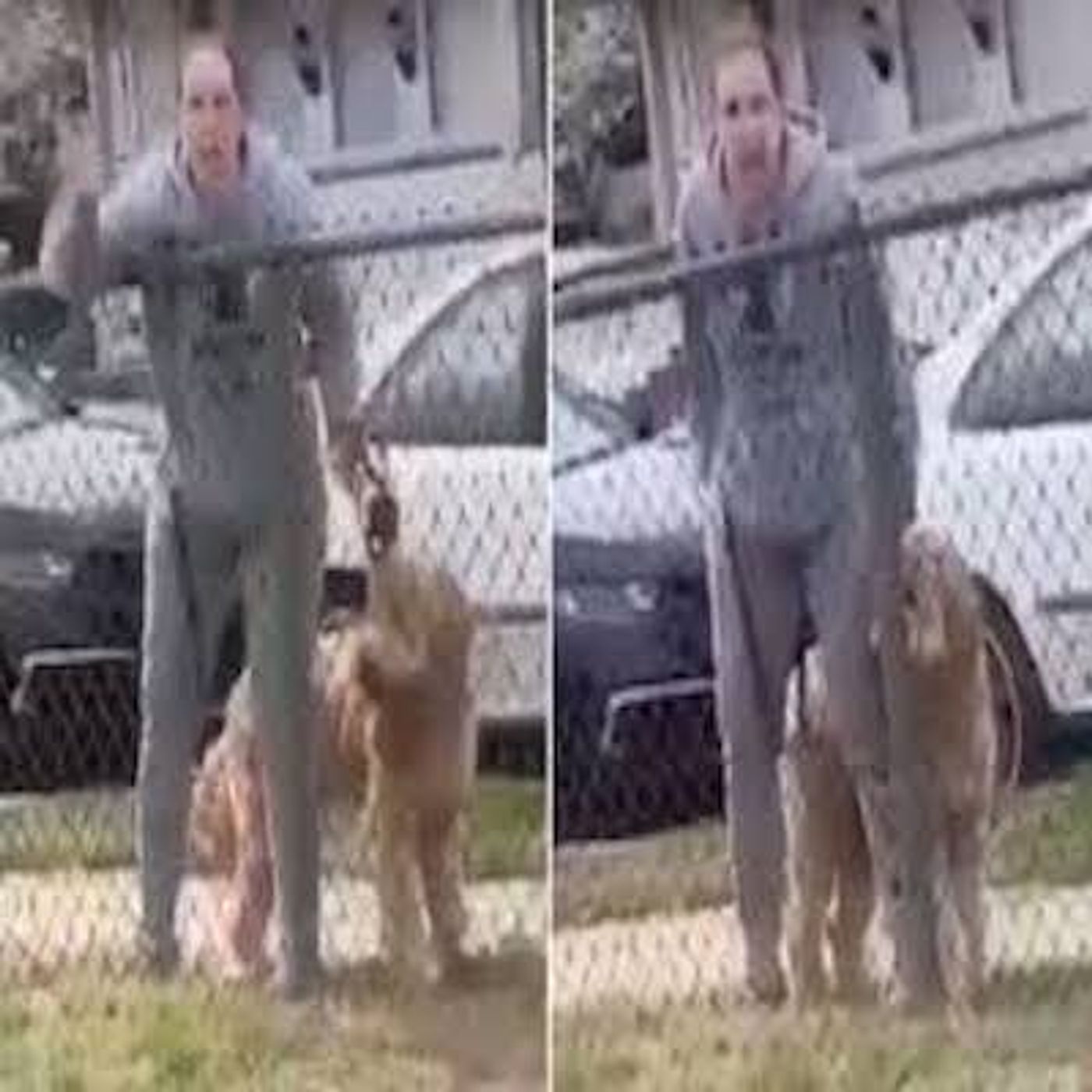 Episode 12: Chill out, Lady!