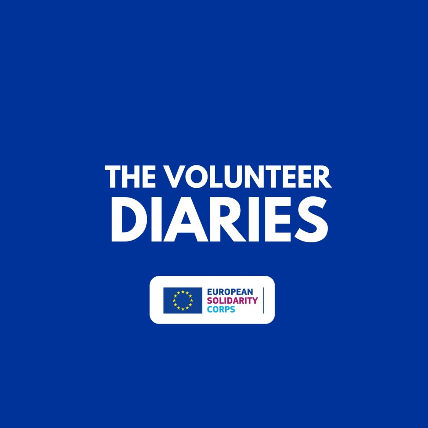 The Volunteer Diaries