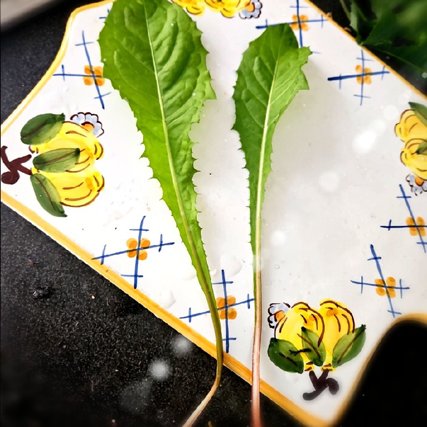 Giudizi universali (e altre confessioni)