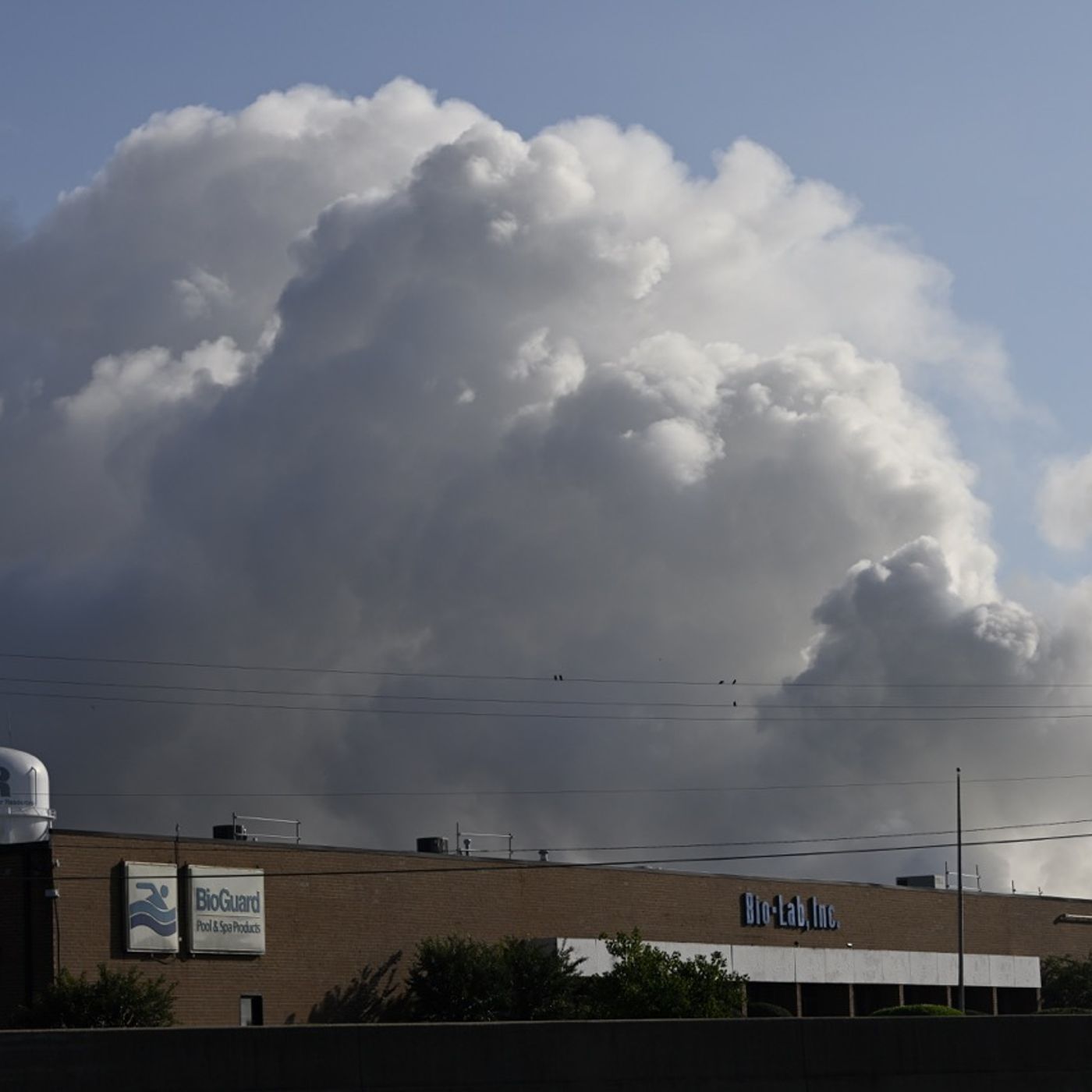 Georgia residents ABANDONED after toxic BioLab fire | Working People