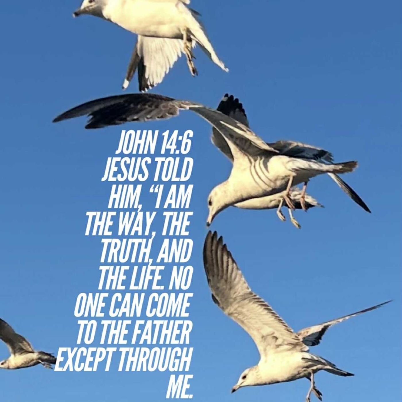 The Freedom Broadcast with JaytheRacMan #2025086 Humility