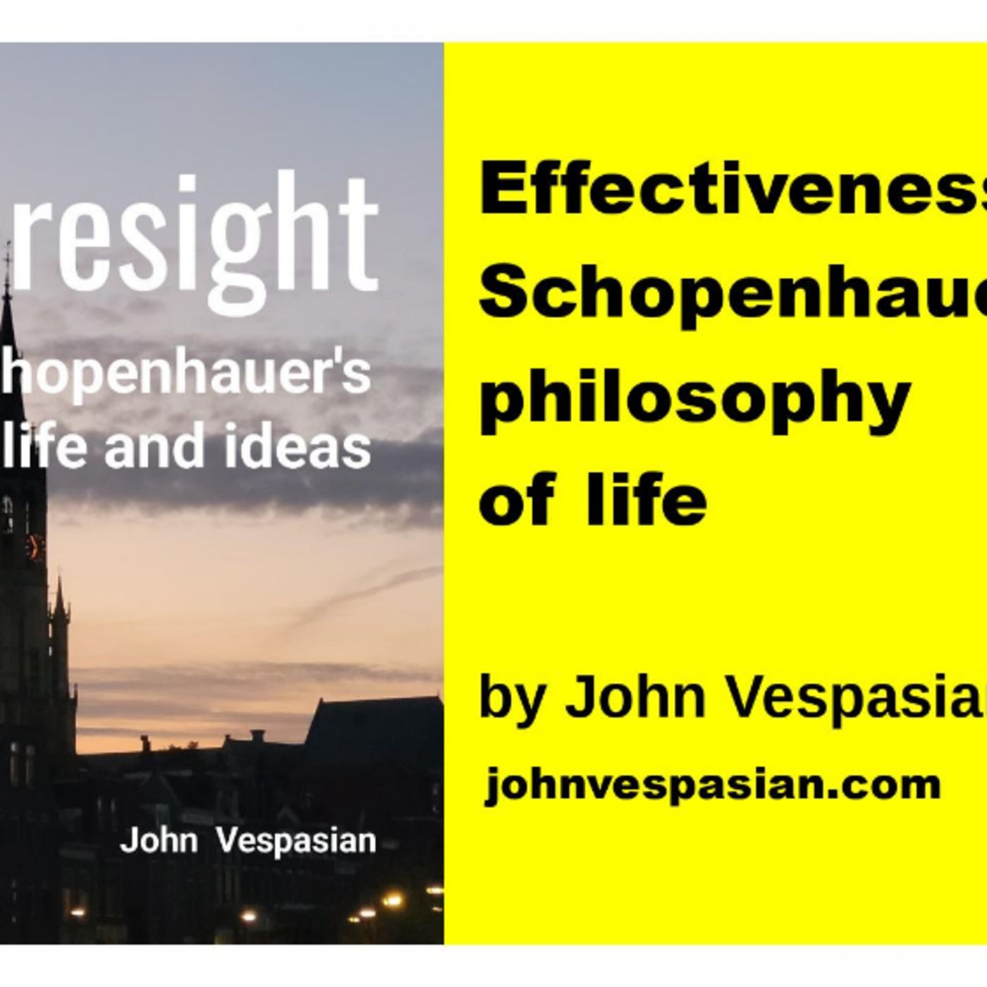 Effectiveness of Schopenhauer’s philosophy of life episode artwork