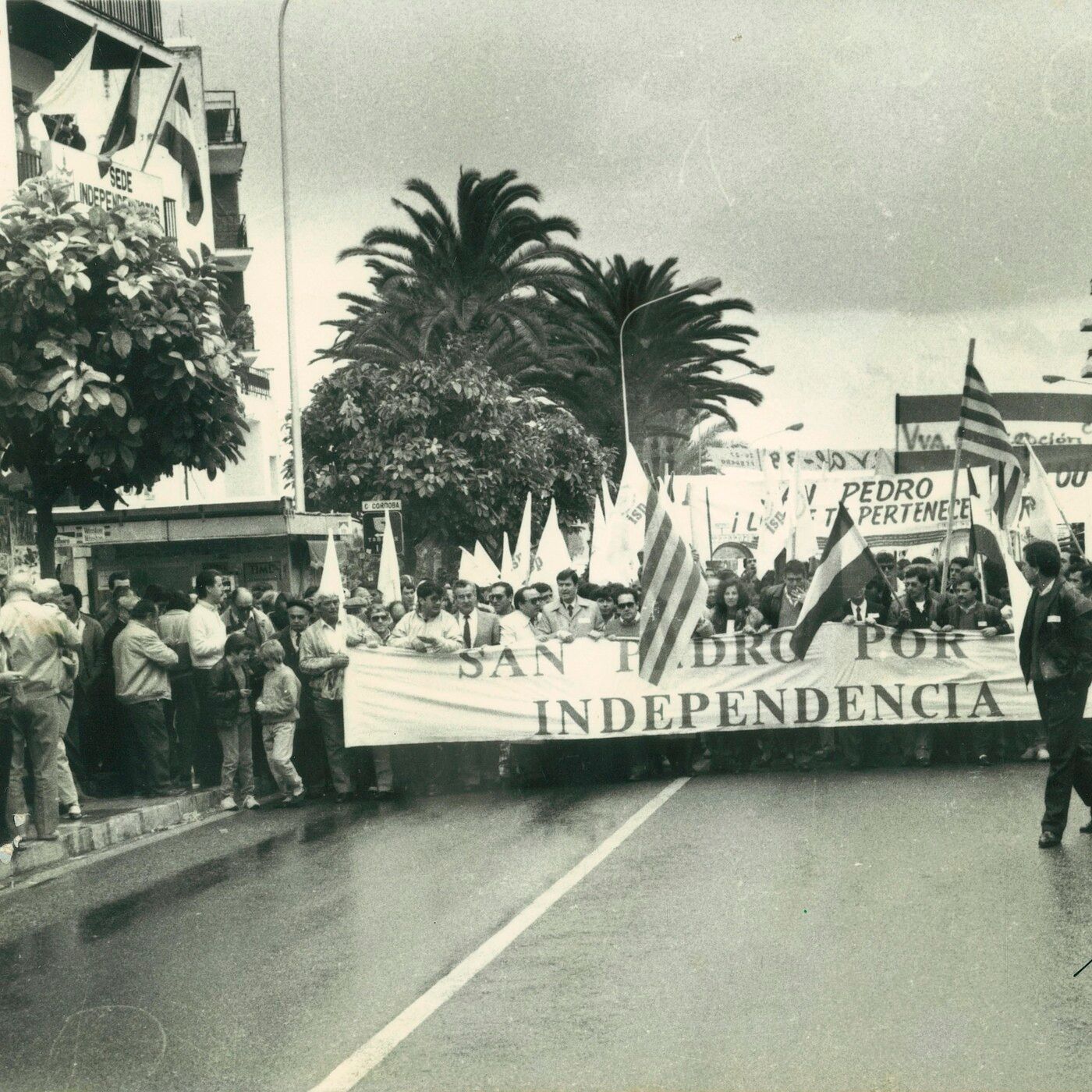 Crónicas de San Pedro Alcántara