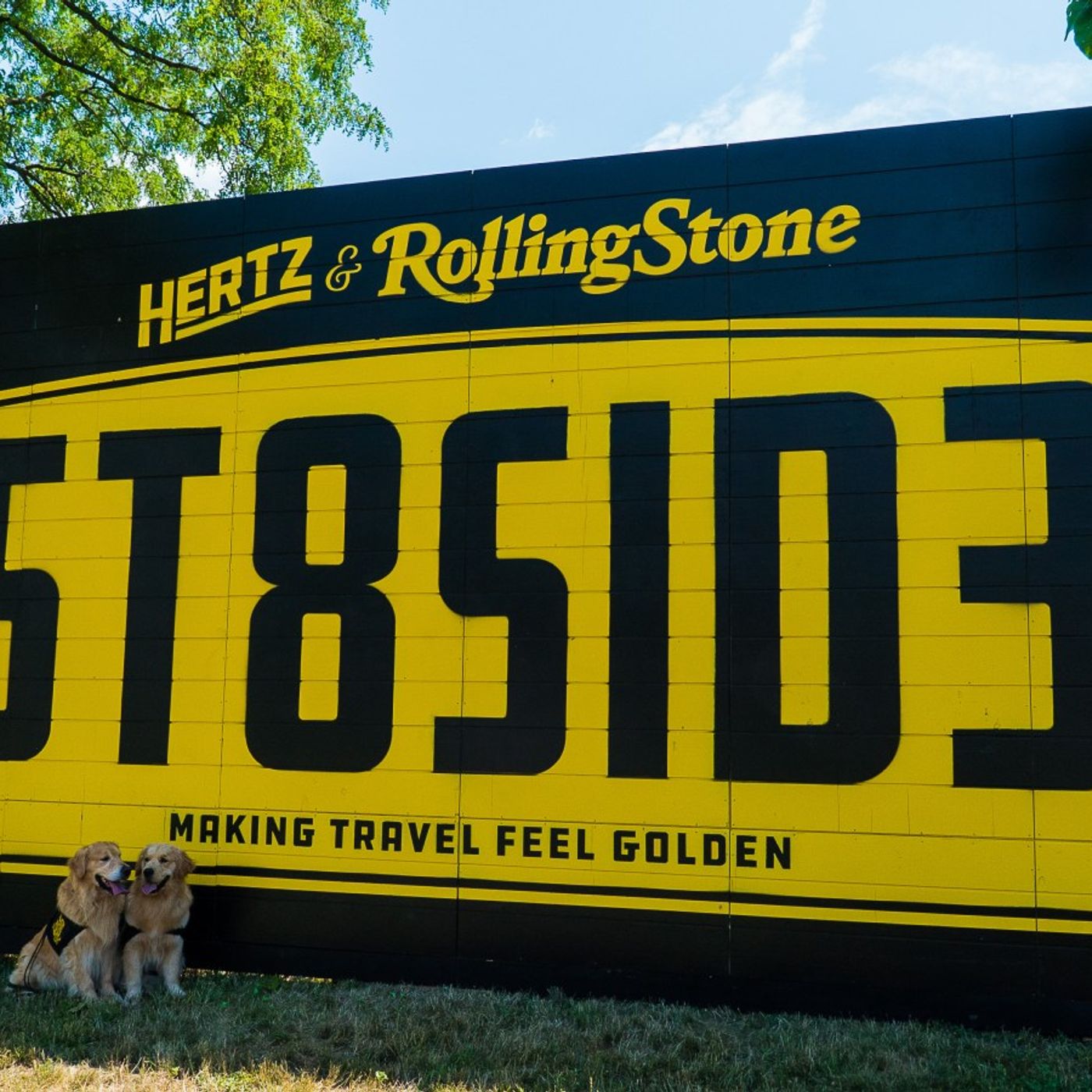 How 26 Golden Retrievers Took Over Stateside