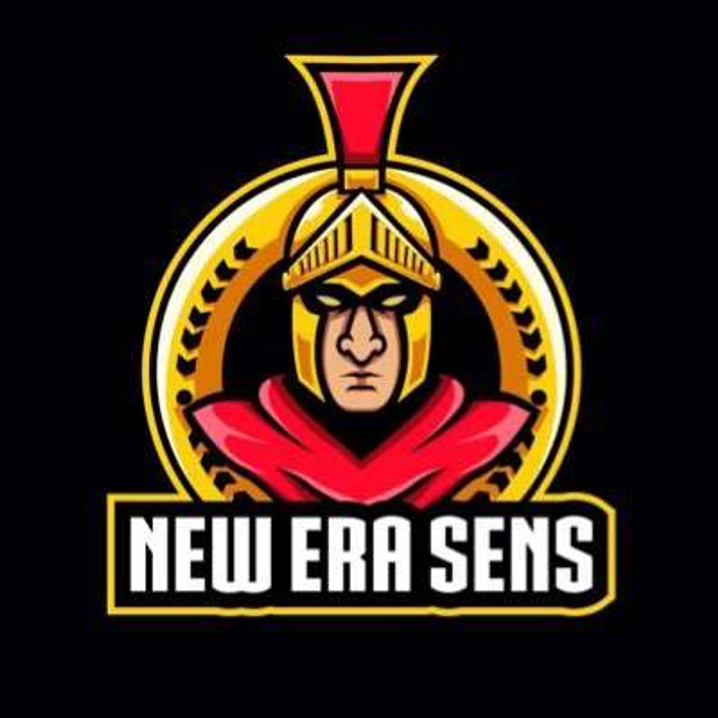 New Era Sens