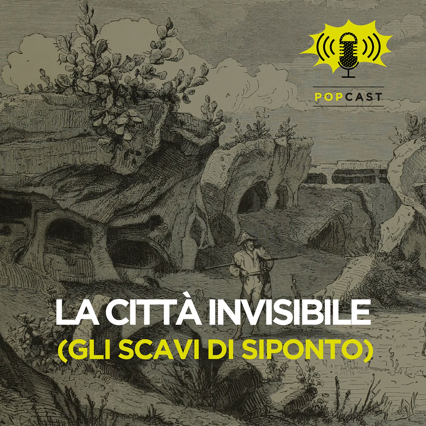 Intervista al Prof Giuliano Volpe, Direttore della campagna di scavi archeologici al Parco di Siponto episode artwork
